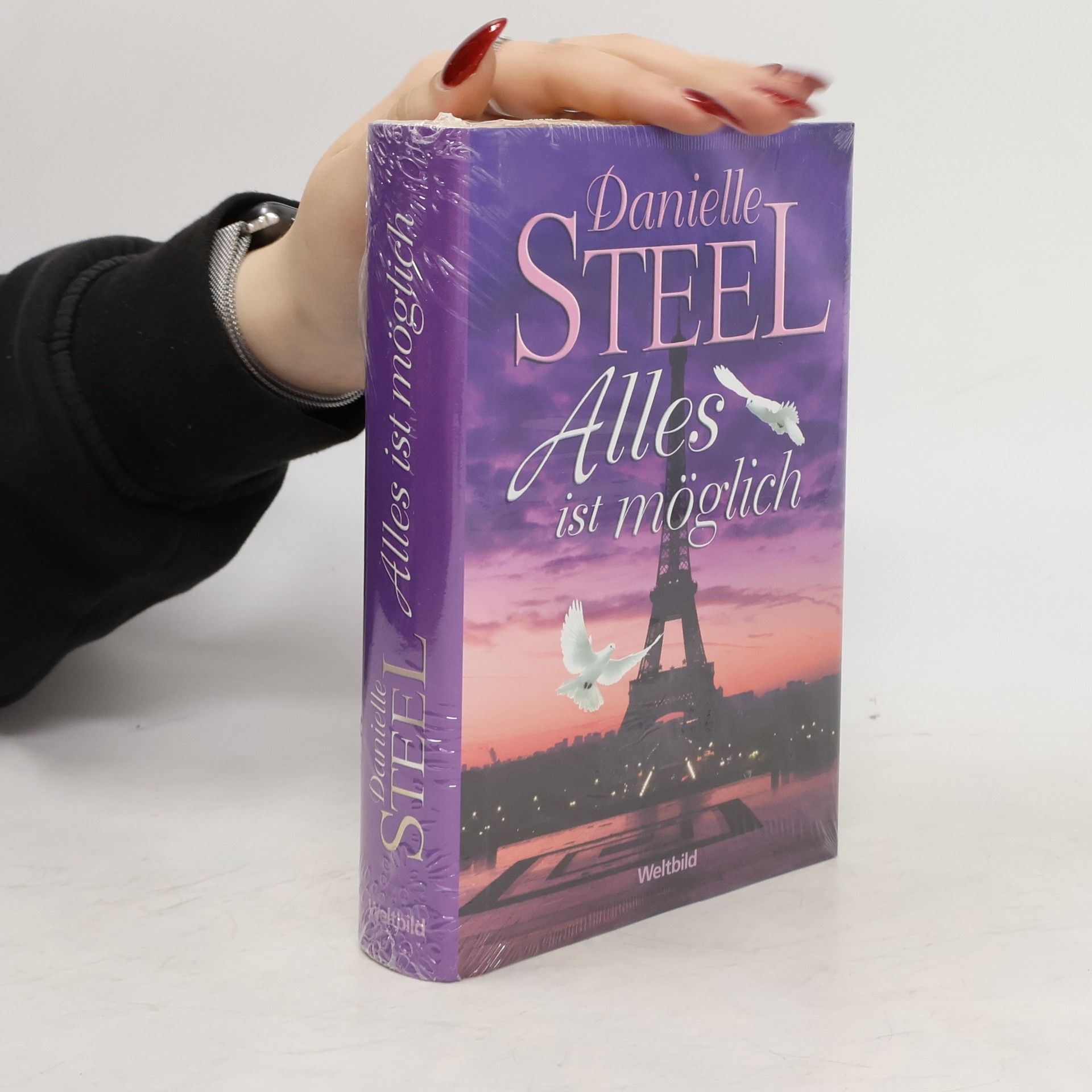 Danielle Steel Alles ist möglich