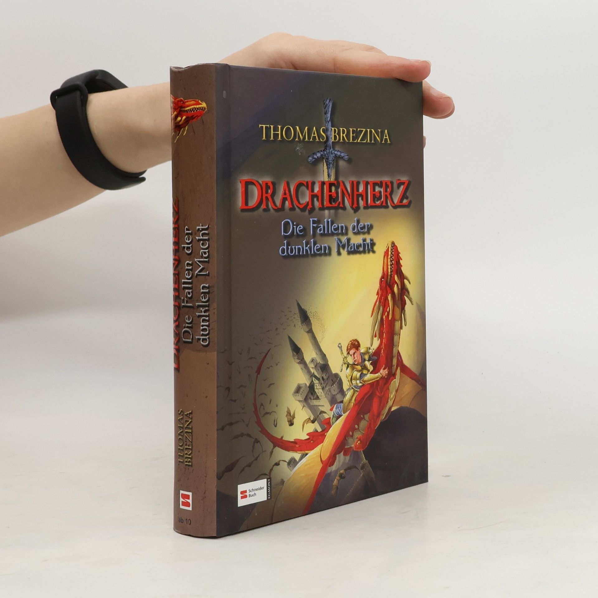 Thomas Brezina Drachenherz, Die Fallen der dunklen Macht