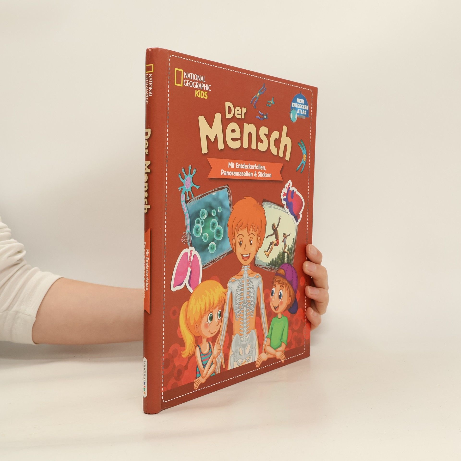 Autorenkollektiv Der Mensch
