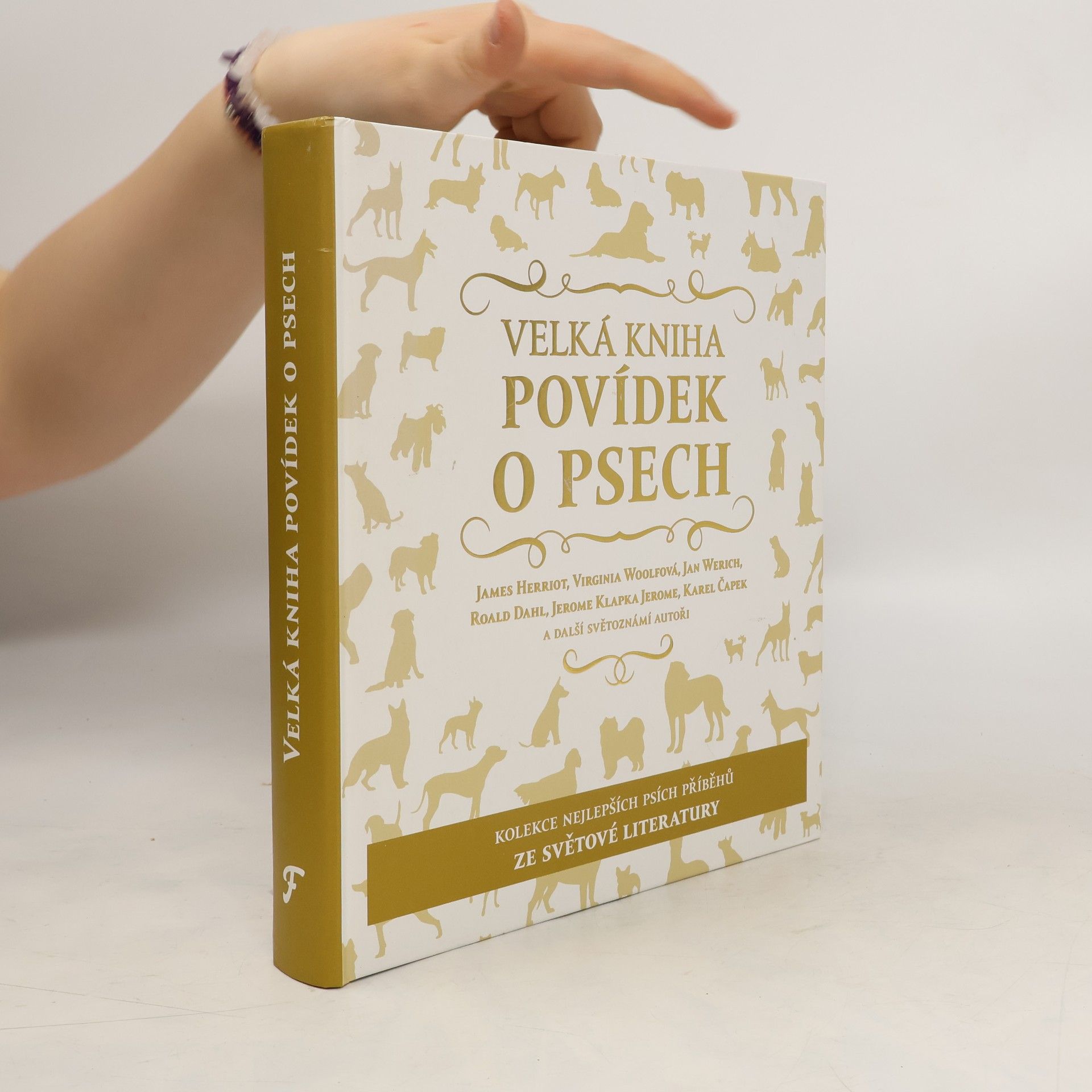 kolektiv Velká kniha povídek o psech