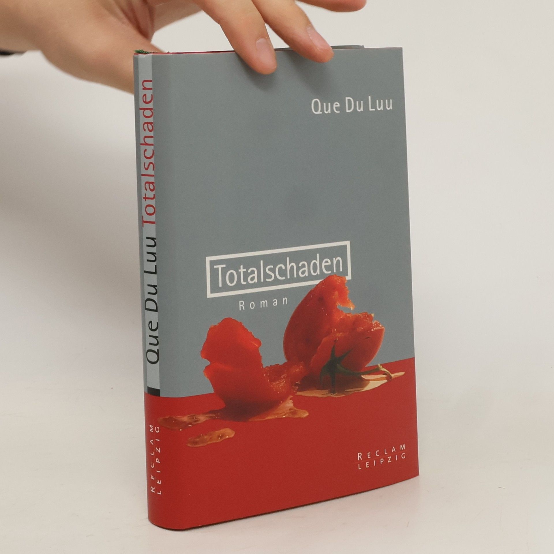 Que Du Luu Totalschaden