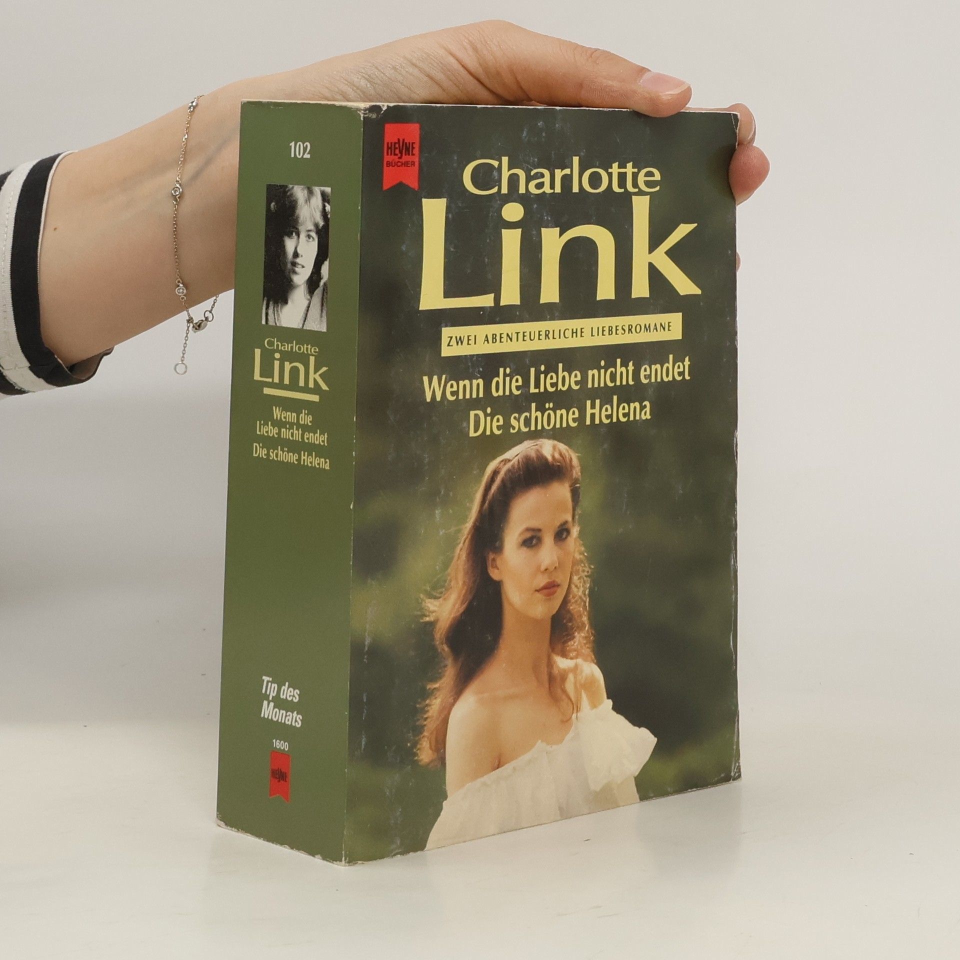 Charlotte Link Wenn die Liebe nicht endet