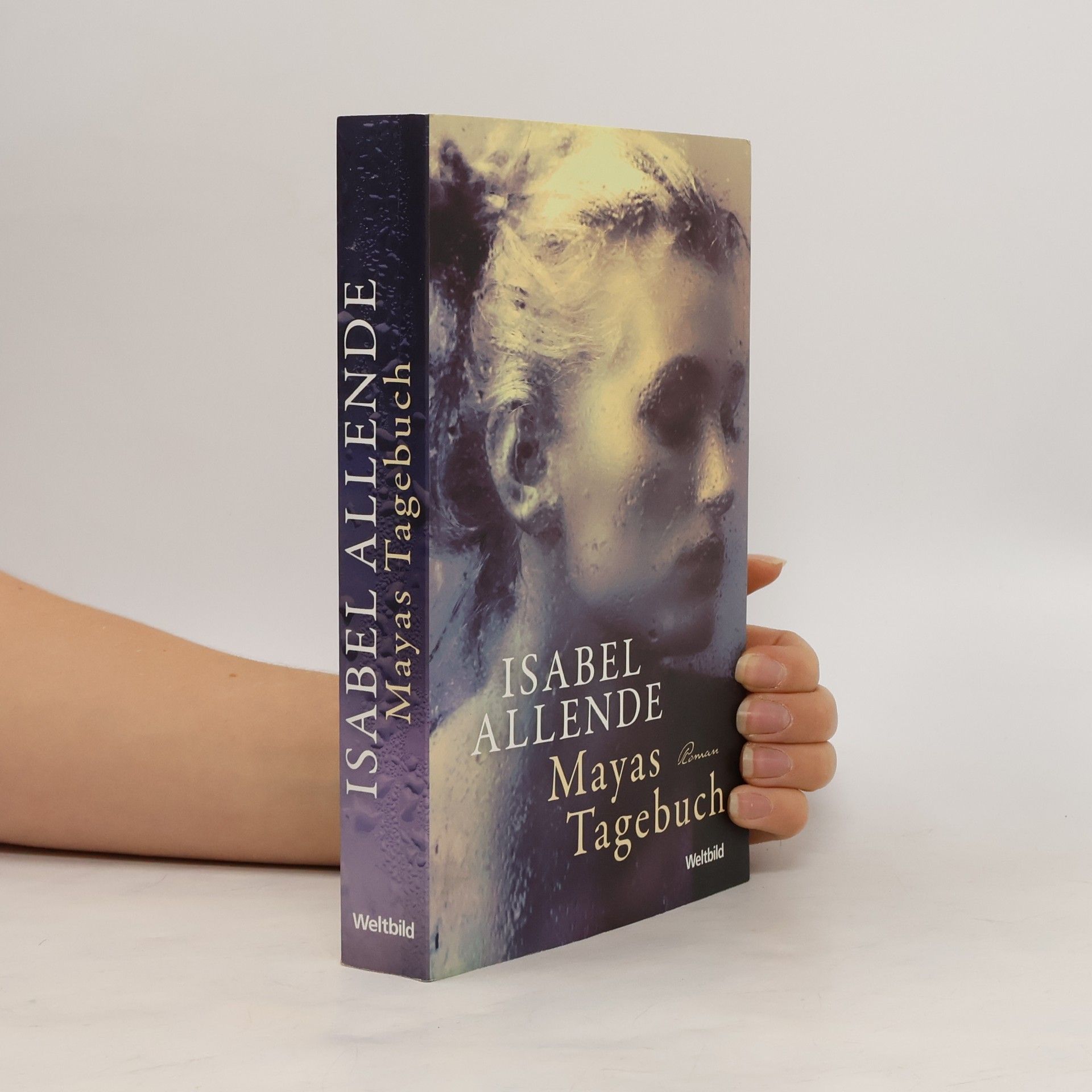 Isabel Allende Llona Mayas Tagebuch