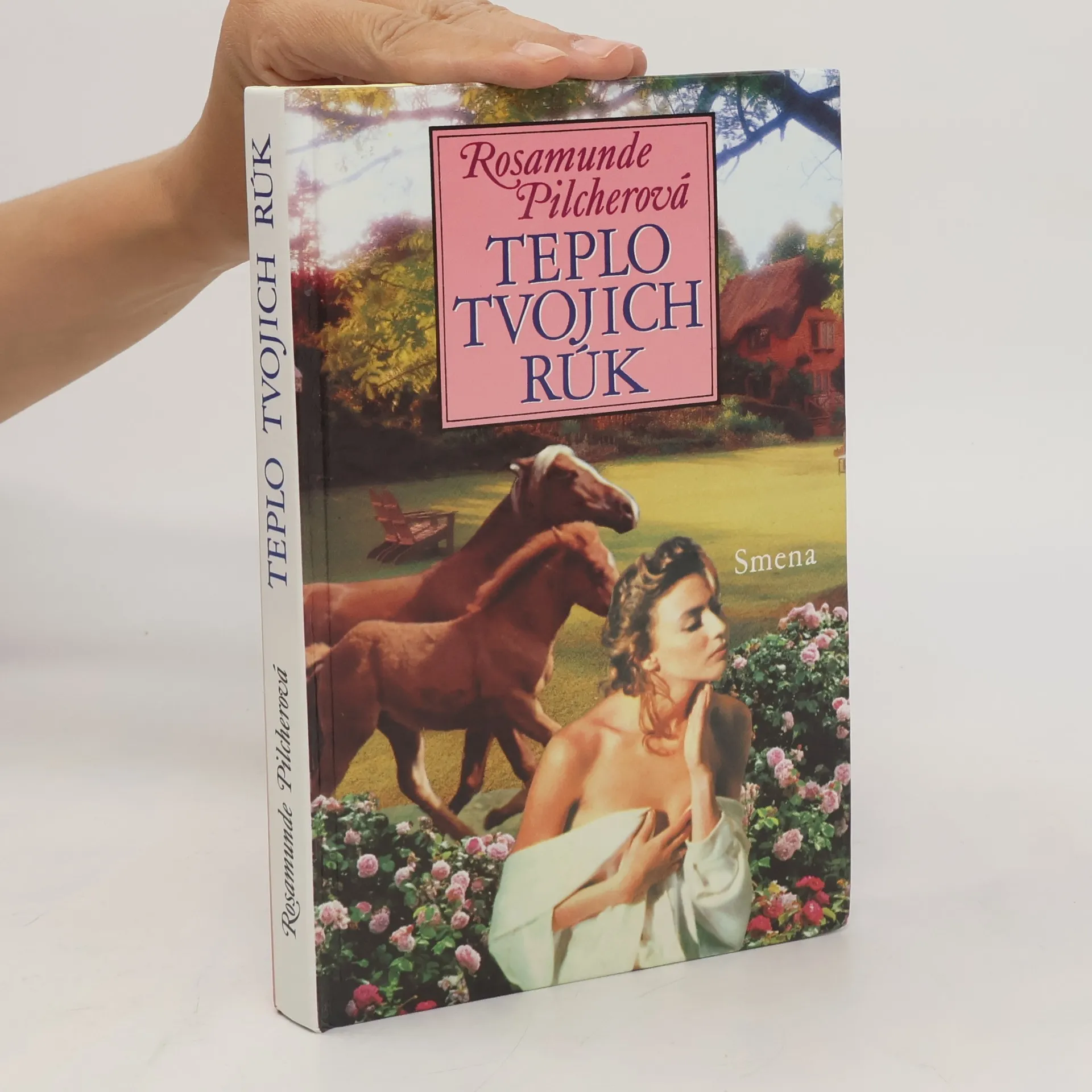 Teplo tvojich rúk | Kniha | Rosamunde Pilcher