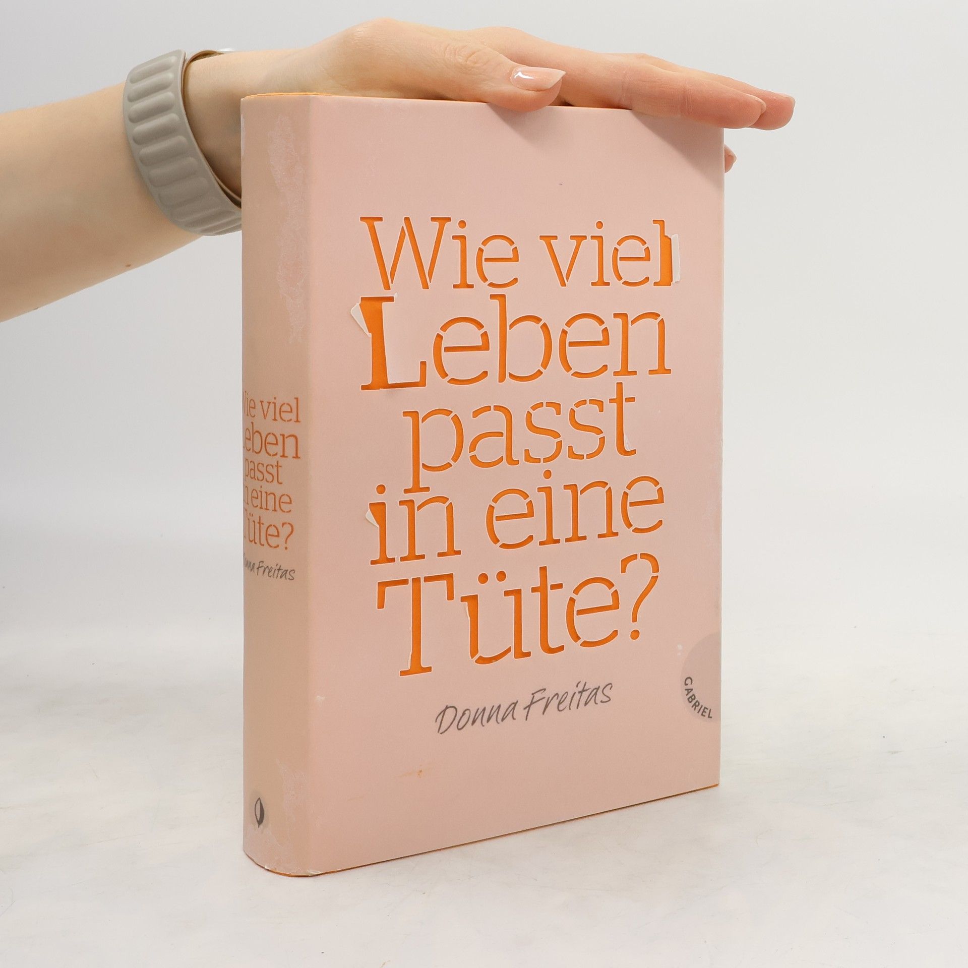 Donna Freitas Wie viel Leben passt in eine Tüte?