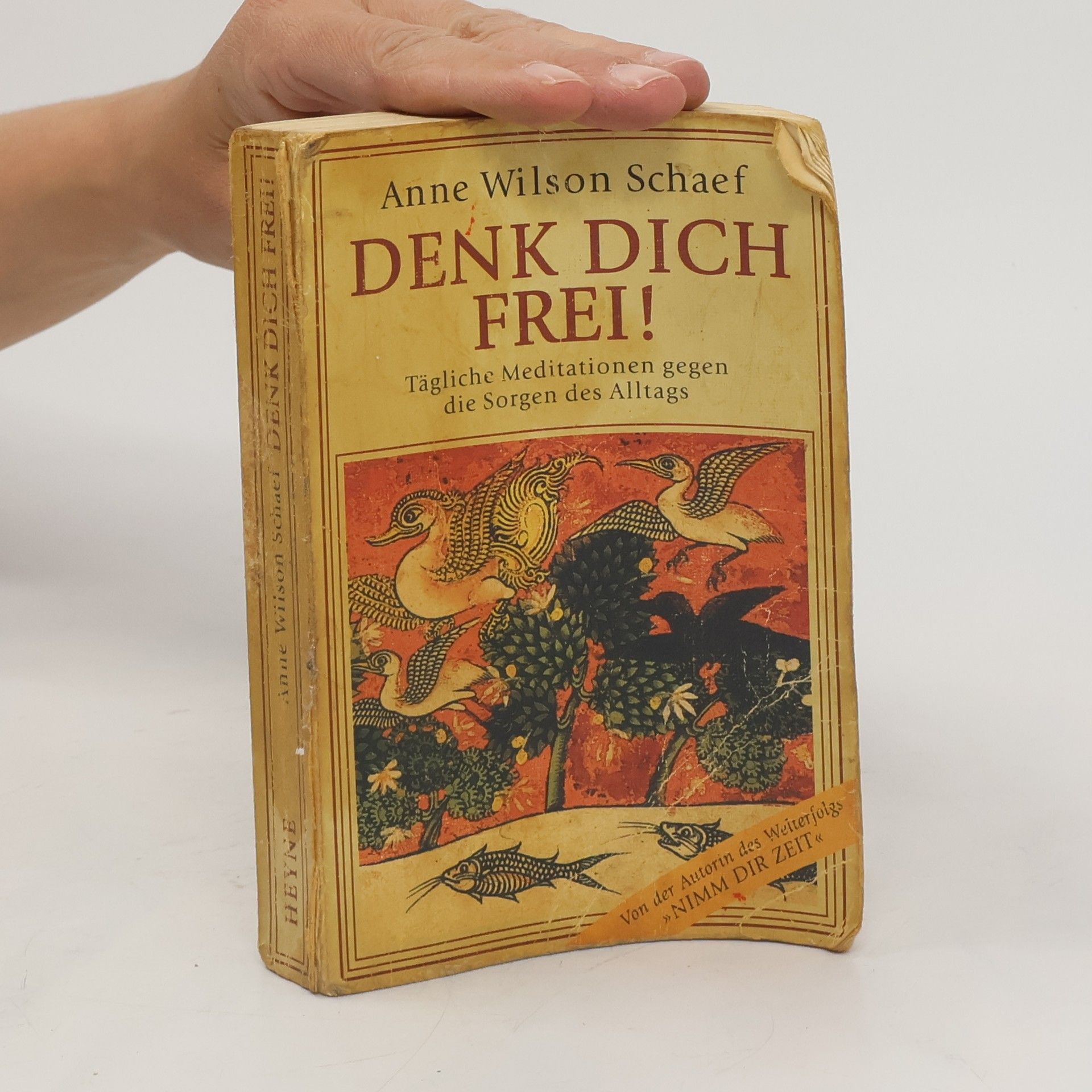 Anne Wilson Schaef Denk dich frei!