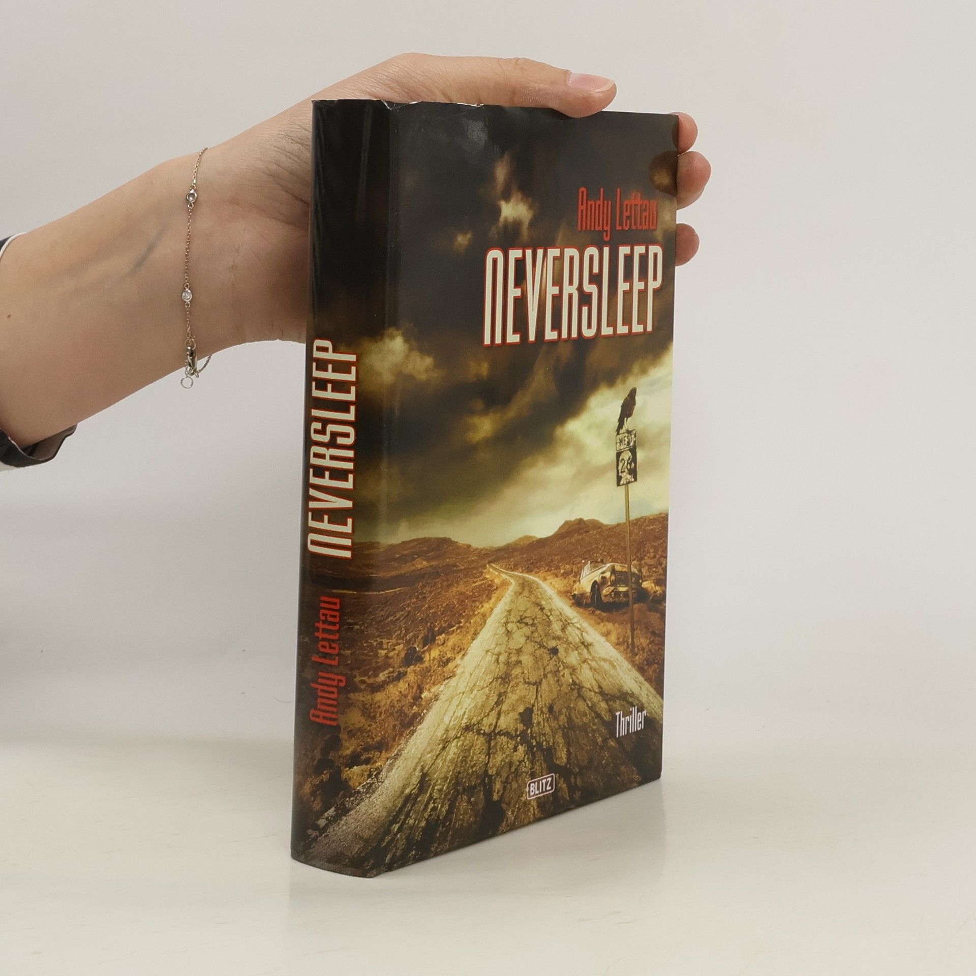 Andy Lettau Neversleep. Thriller