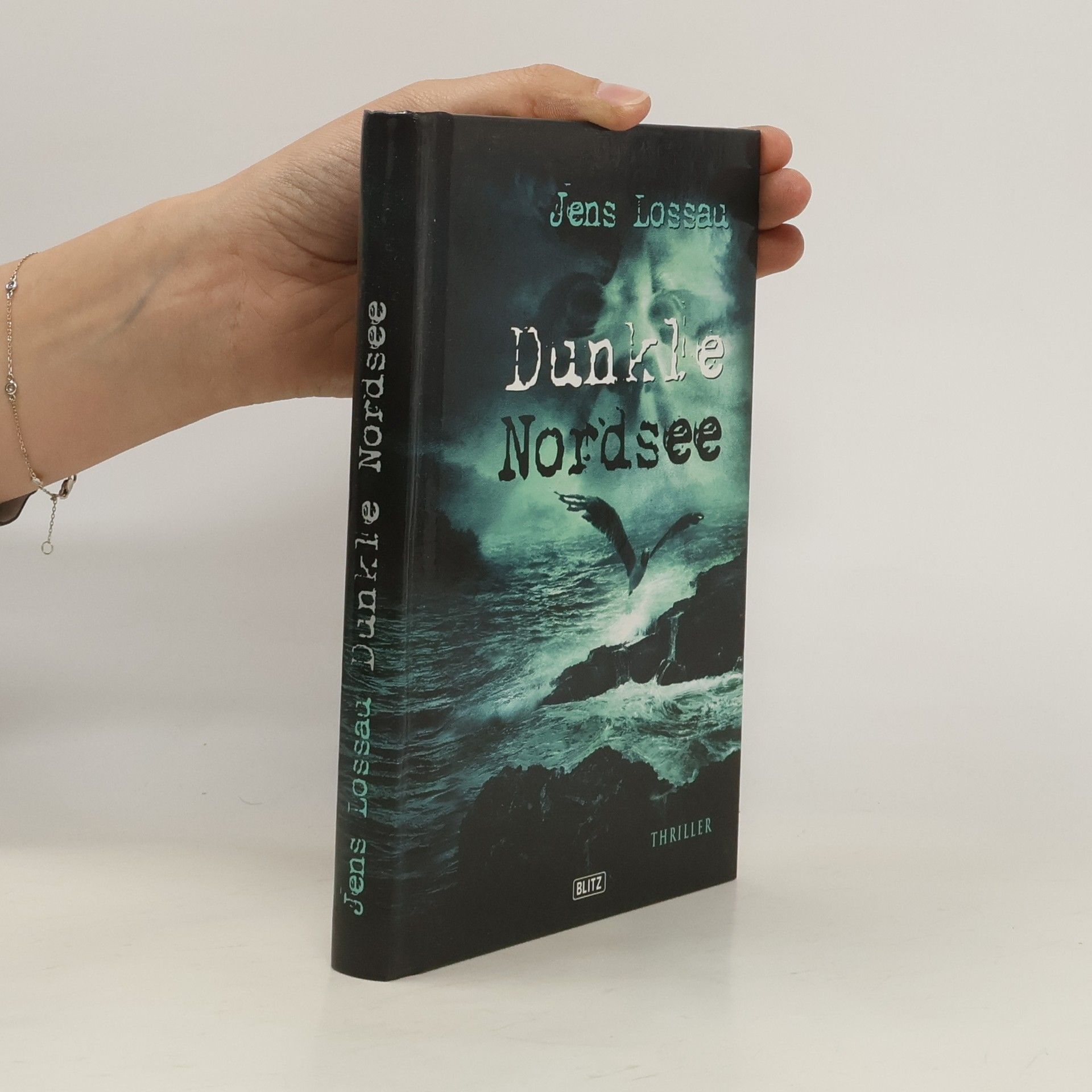 Jens Lossau Dunkle Nordsee. Thriller