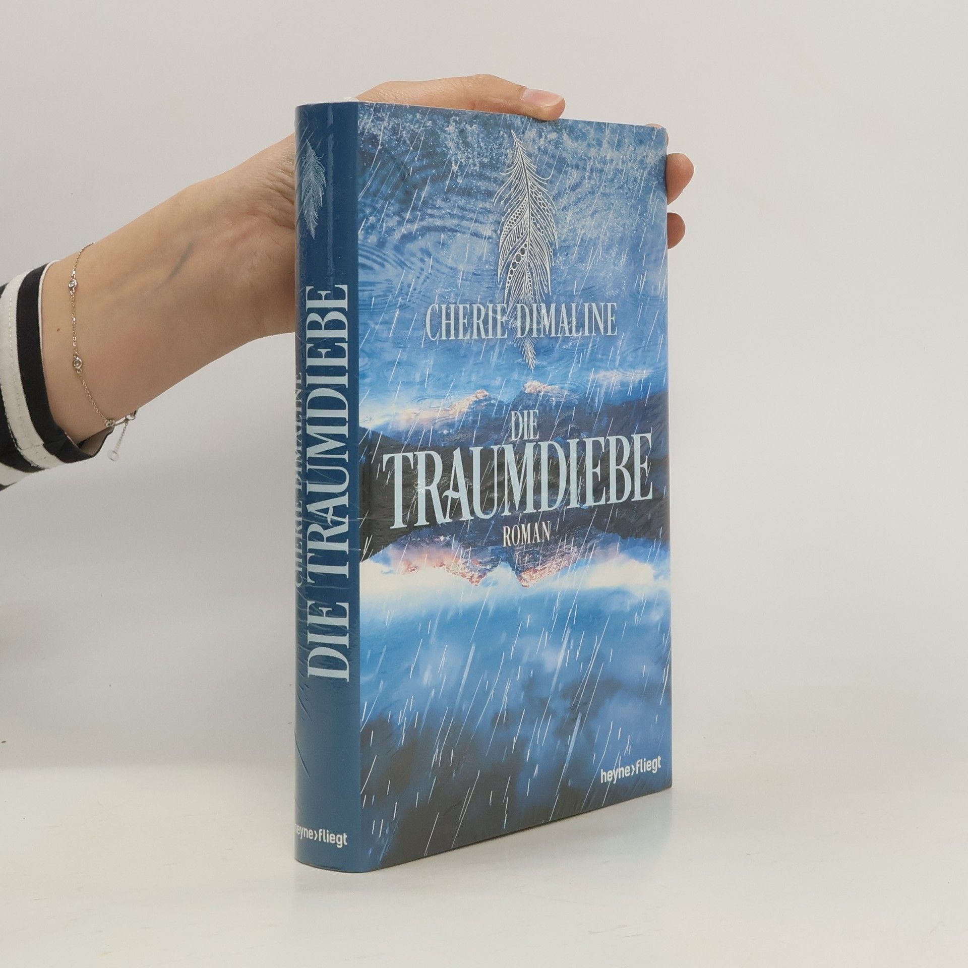 Cherie Dimaline Die Traumdiebe