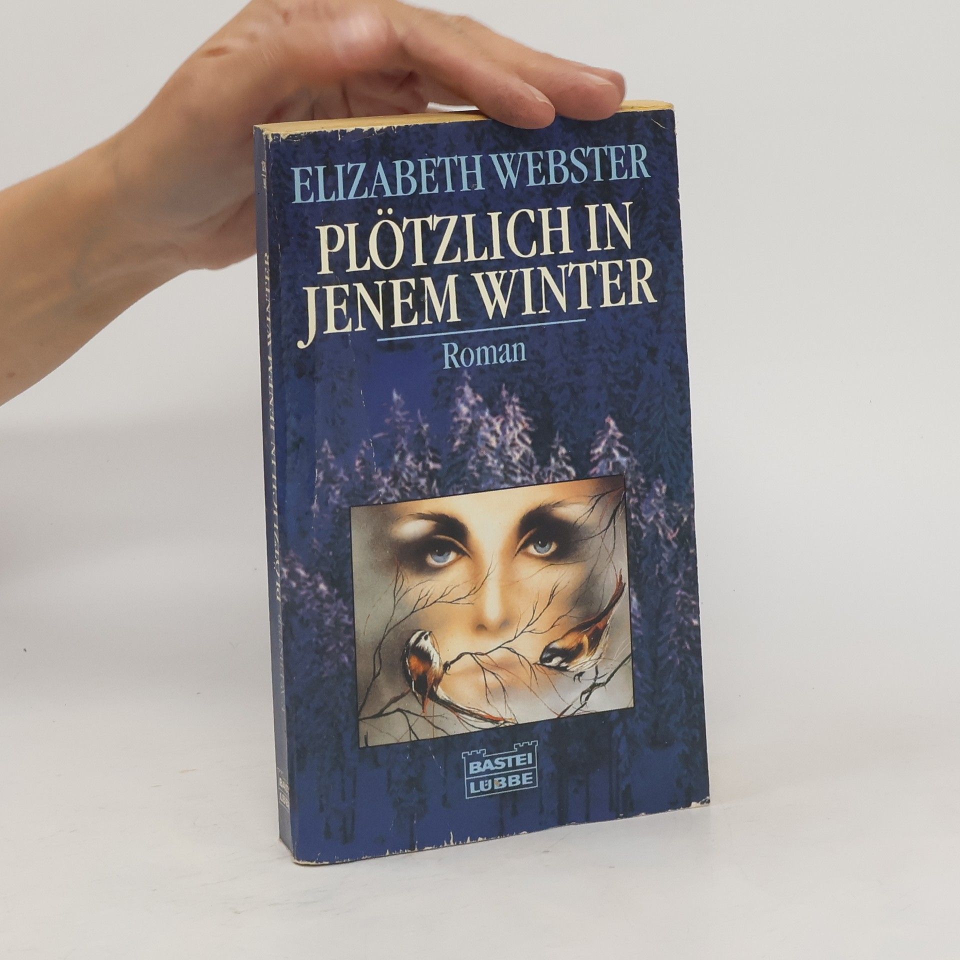 Elizabeth Webster Plötzlich in jenem Winter.