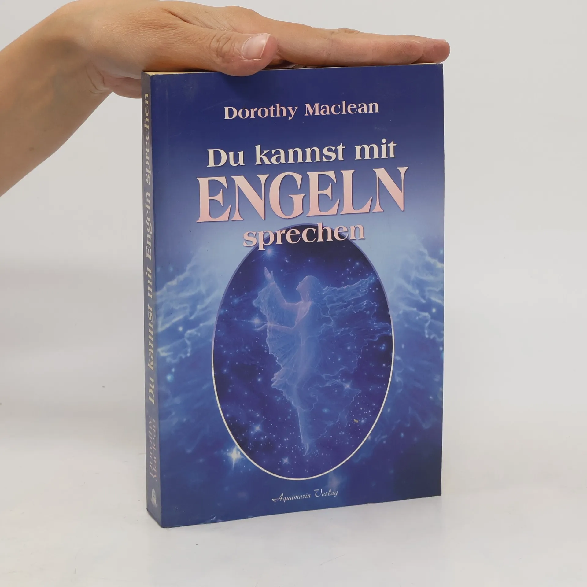 Du kannst mit Engeln sprechen | Book | Dorothy Maclean | DE