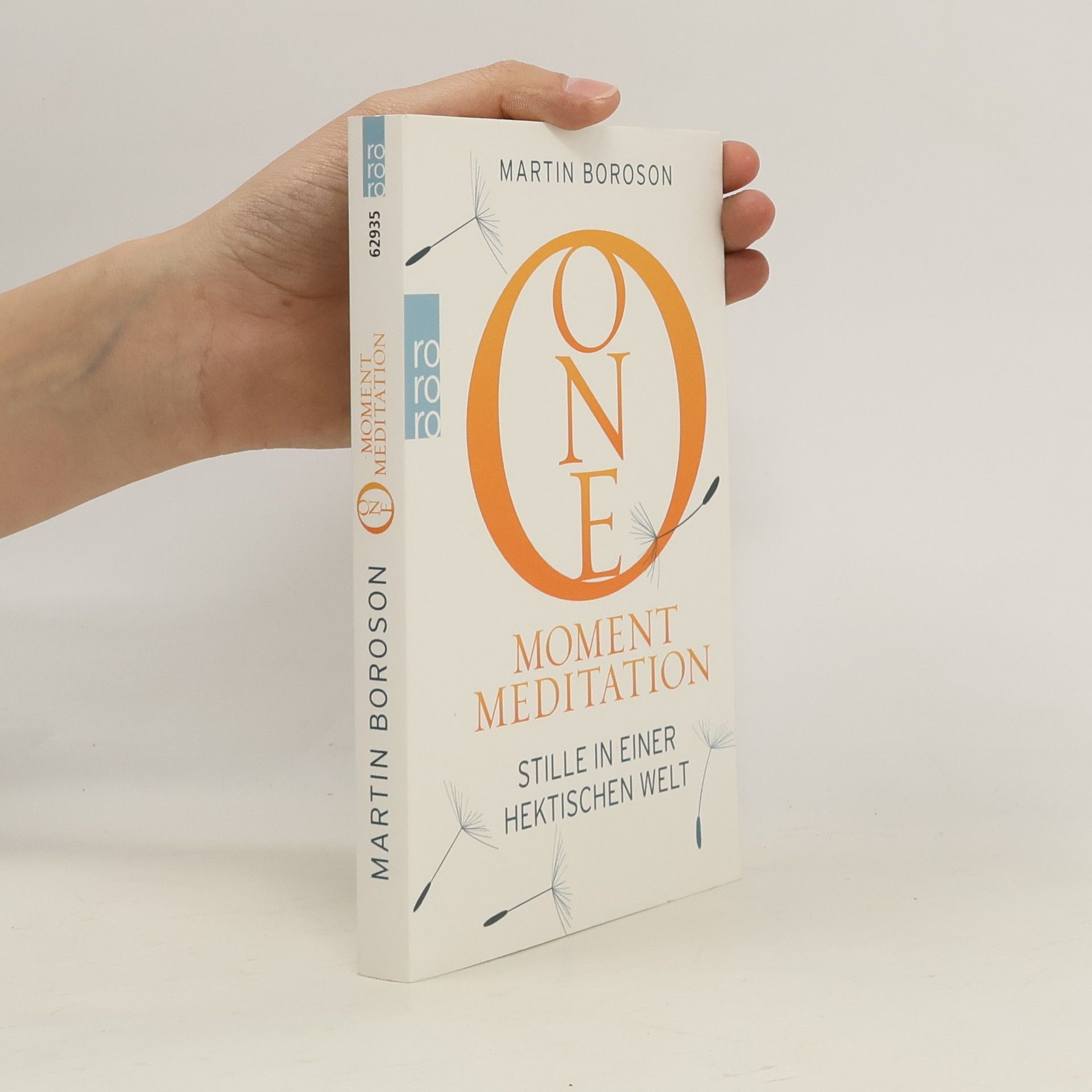 Martin Boroson One Moment Meditation
