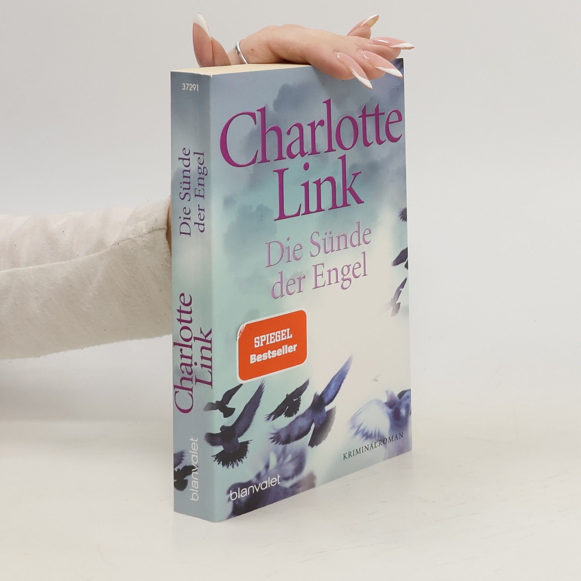 Charlotte Link Die Sünde der Engel