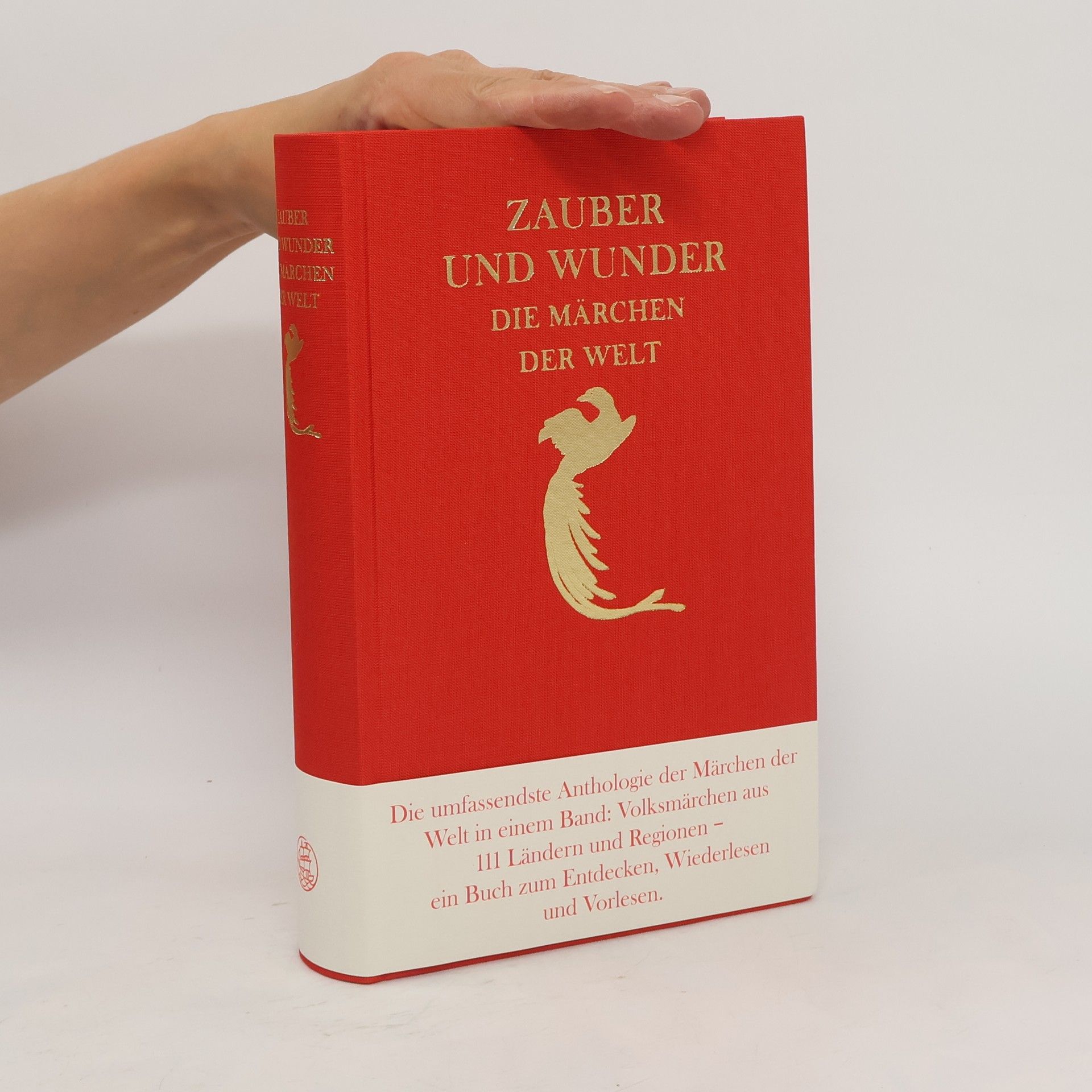Joachim Simm Zauber und Wunder