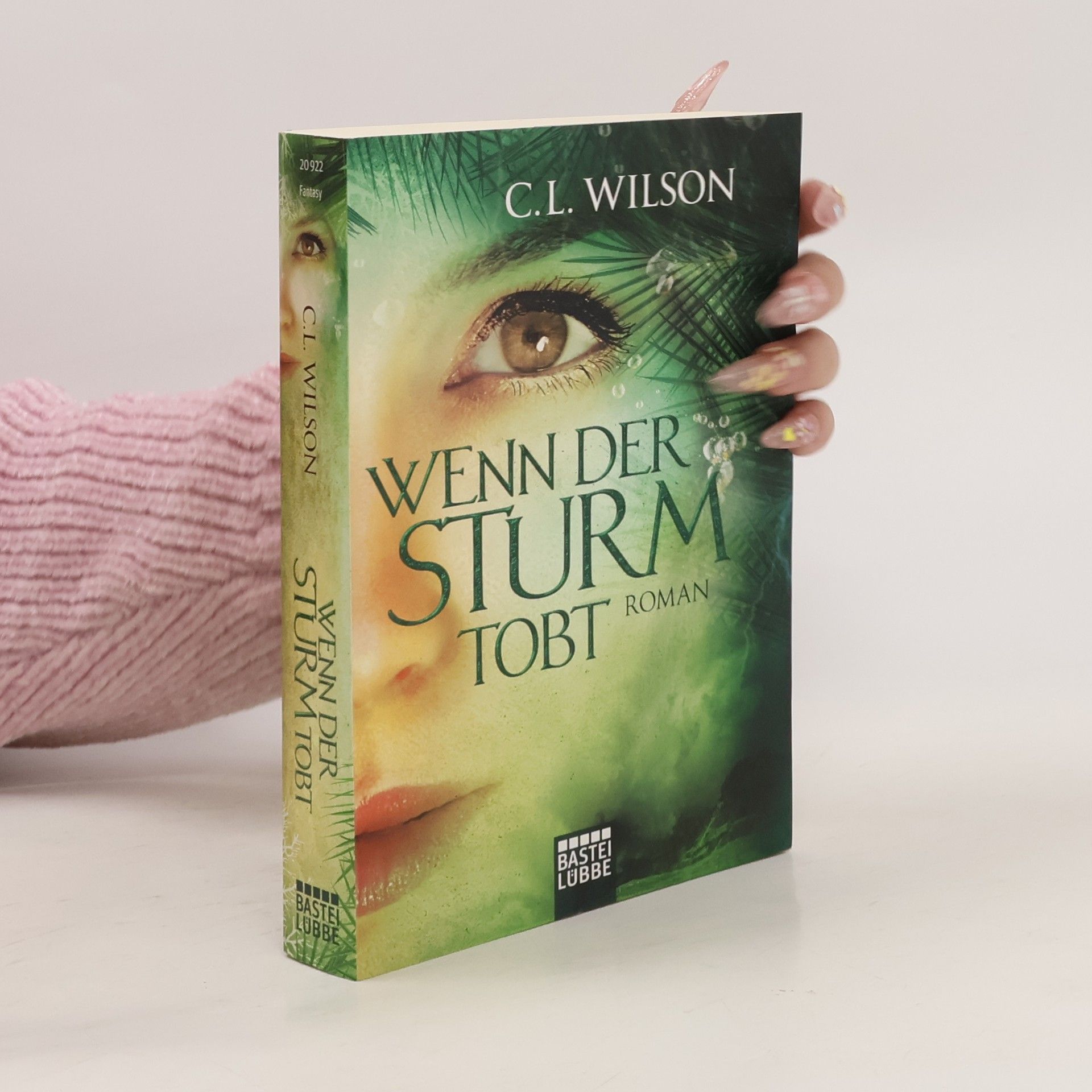Cecil L. Wilson Wenn der Sturm tobt