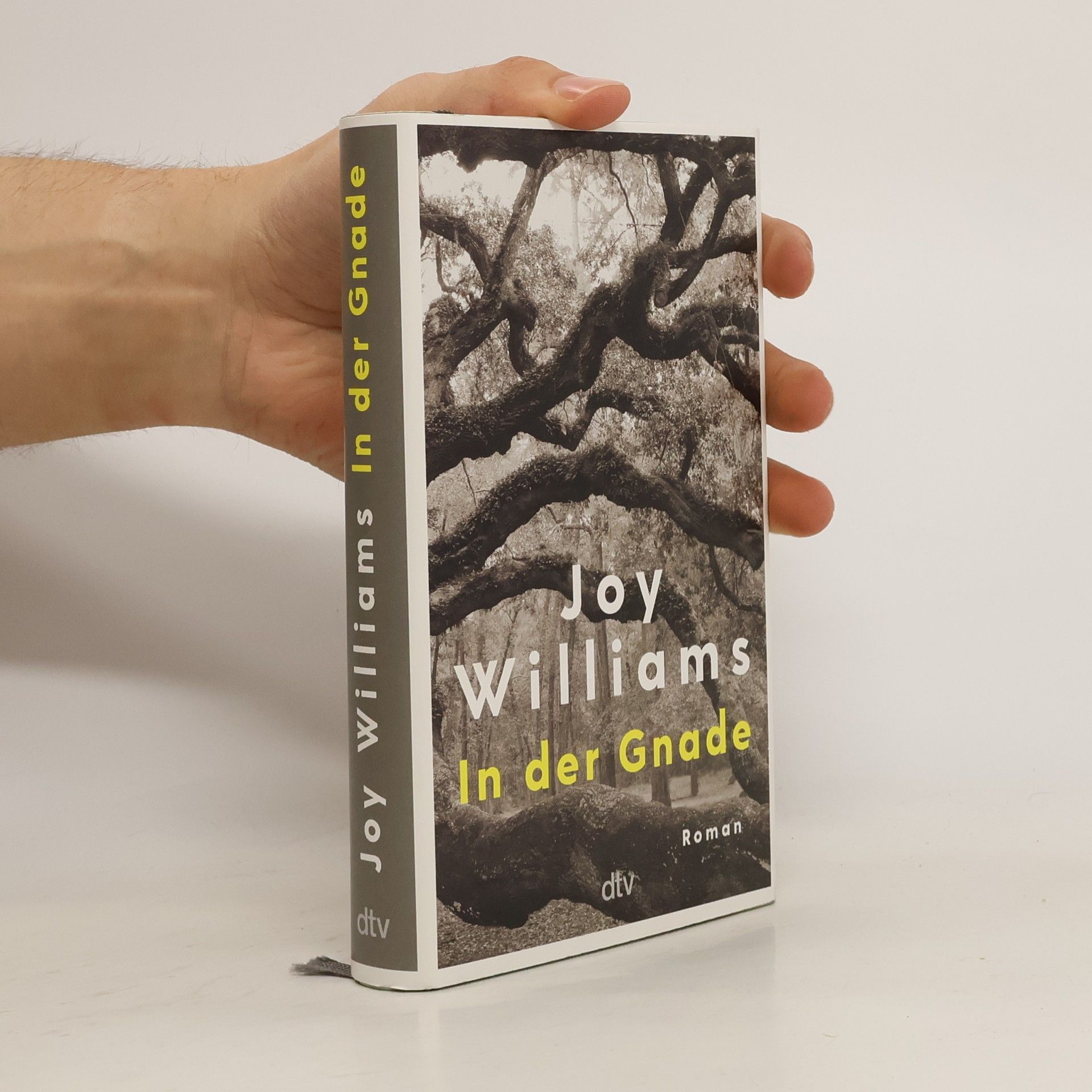 Joy Williams In der Gnade