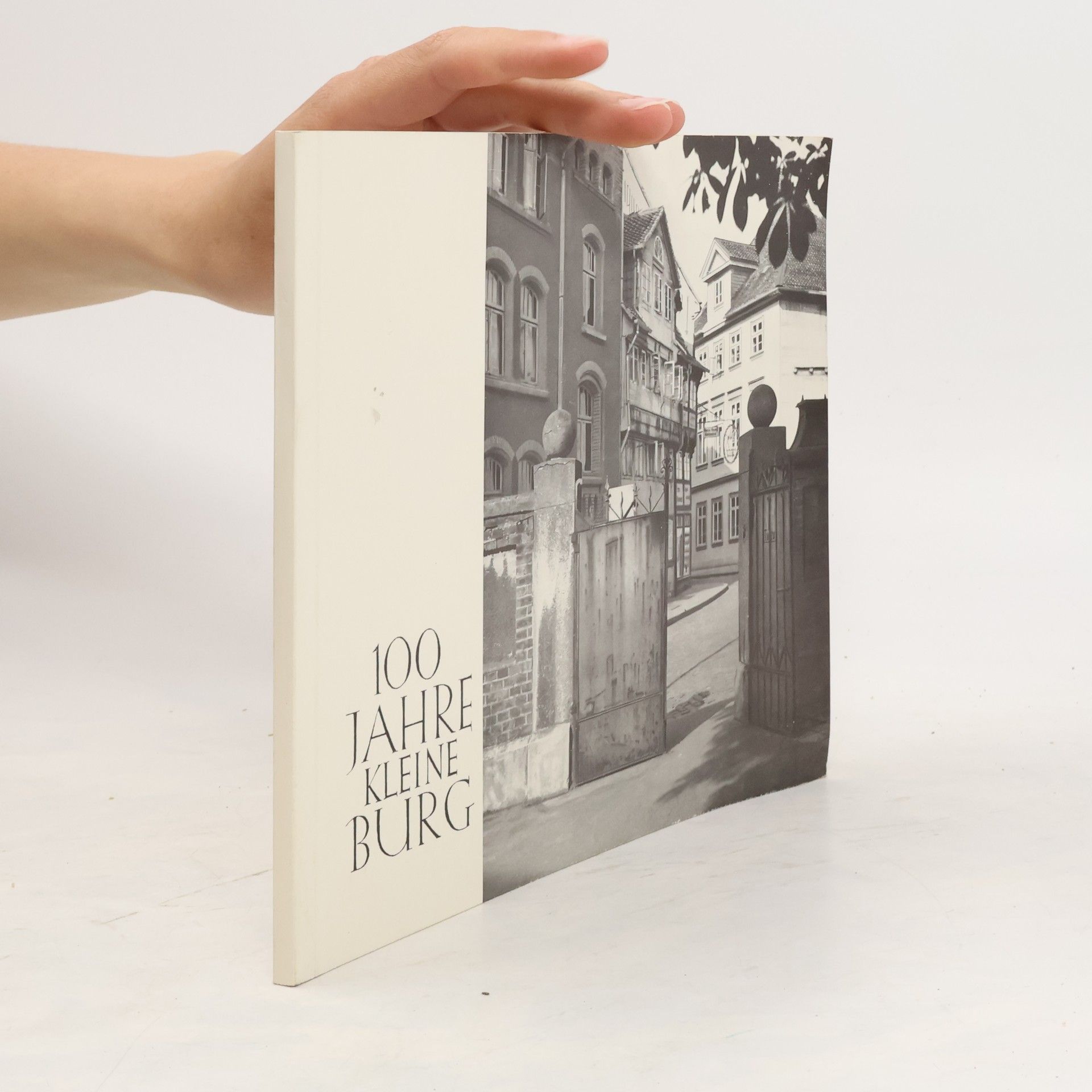 Autorenkollektiv 100 Jahre Kleine Burg