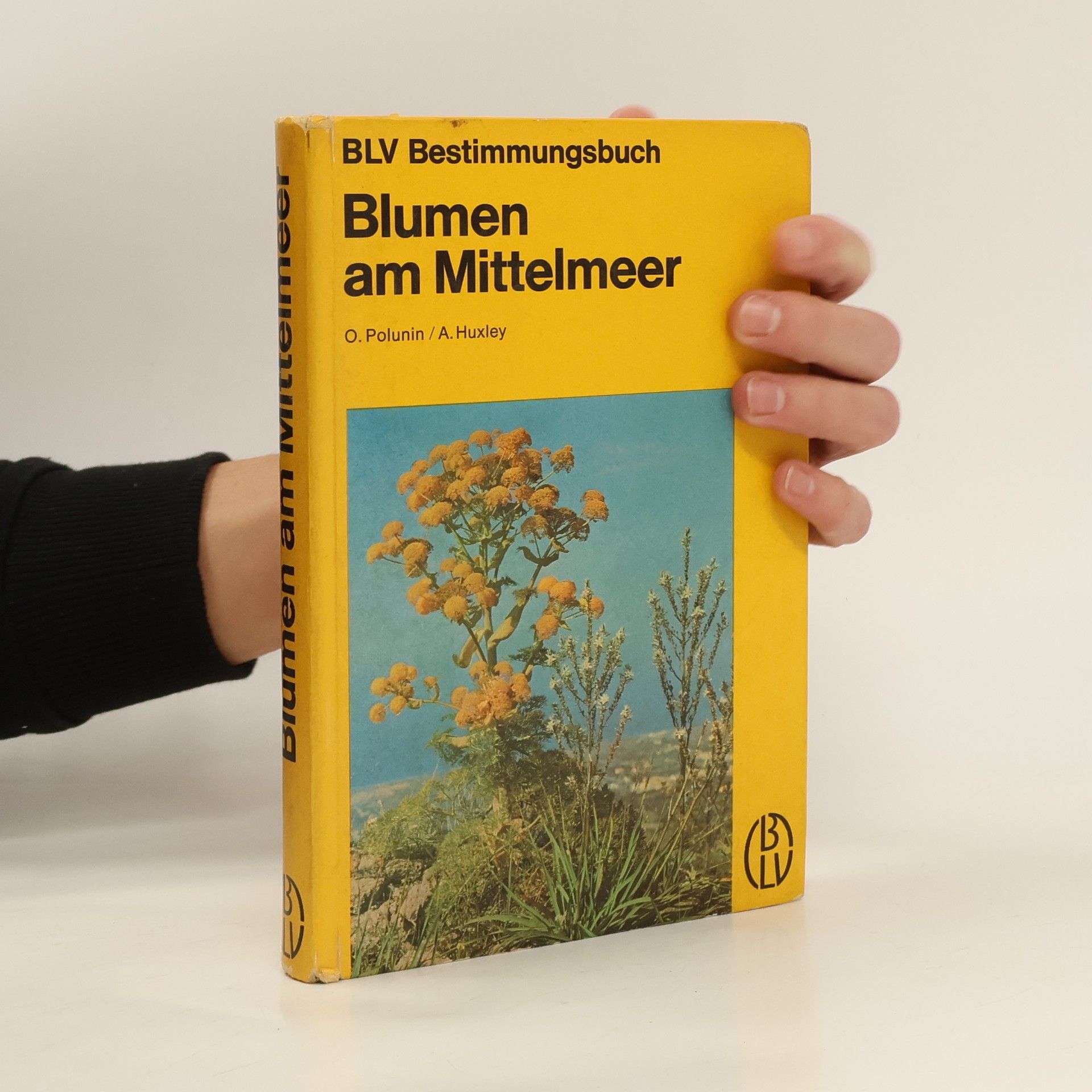 Oleg Polunin Blumen am Mittelmeer