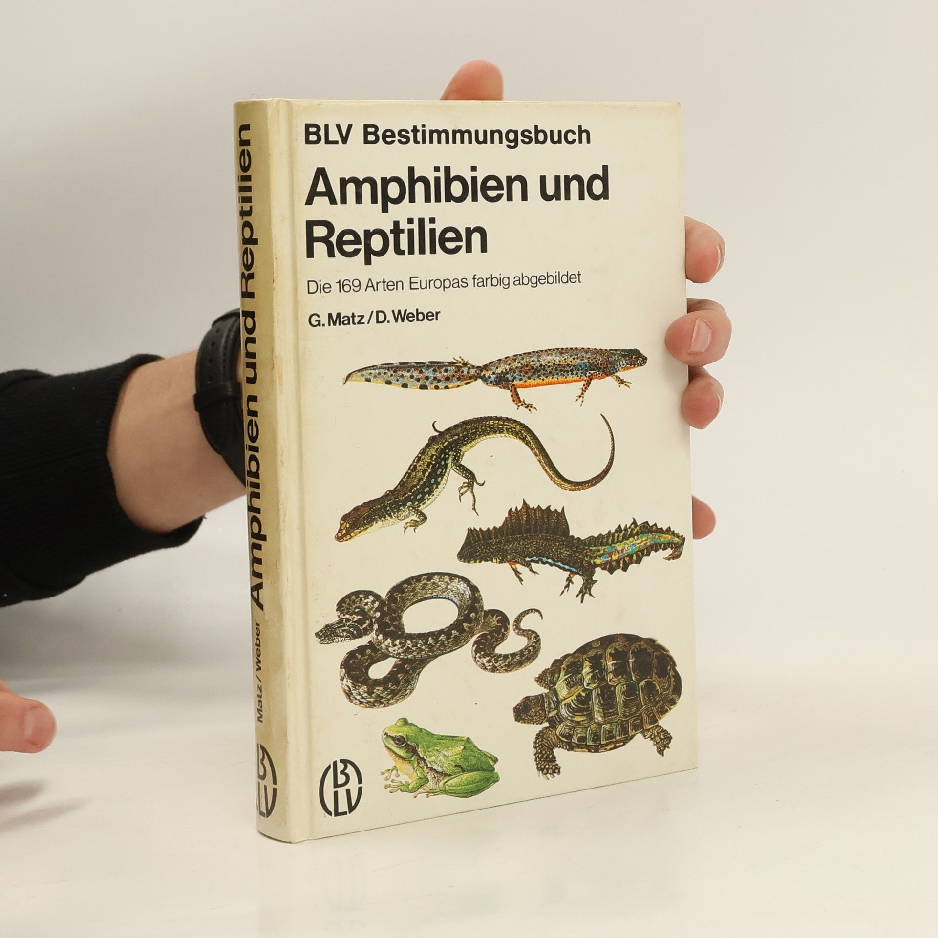 Gilbert Matz Amphibien und Reptilien
