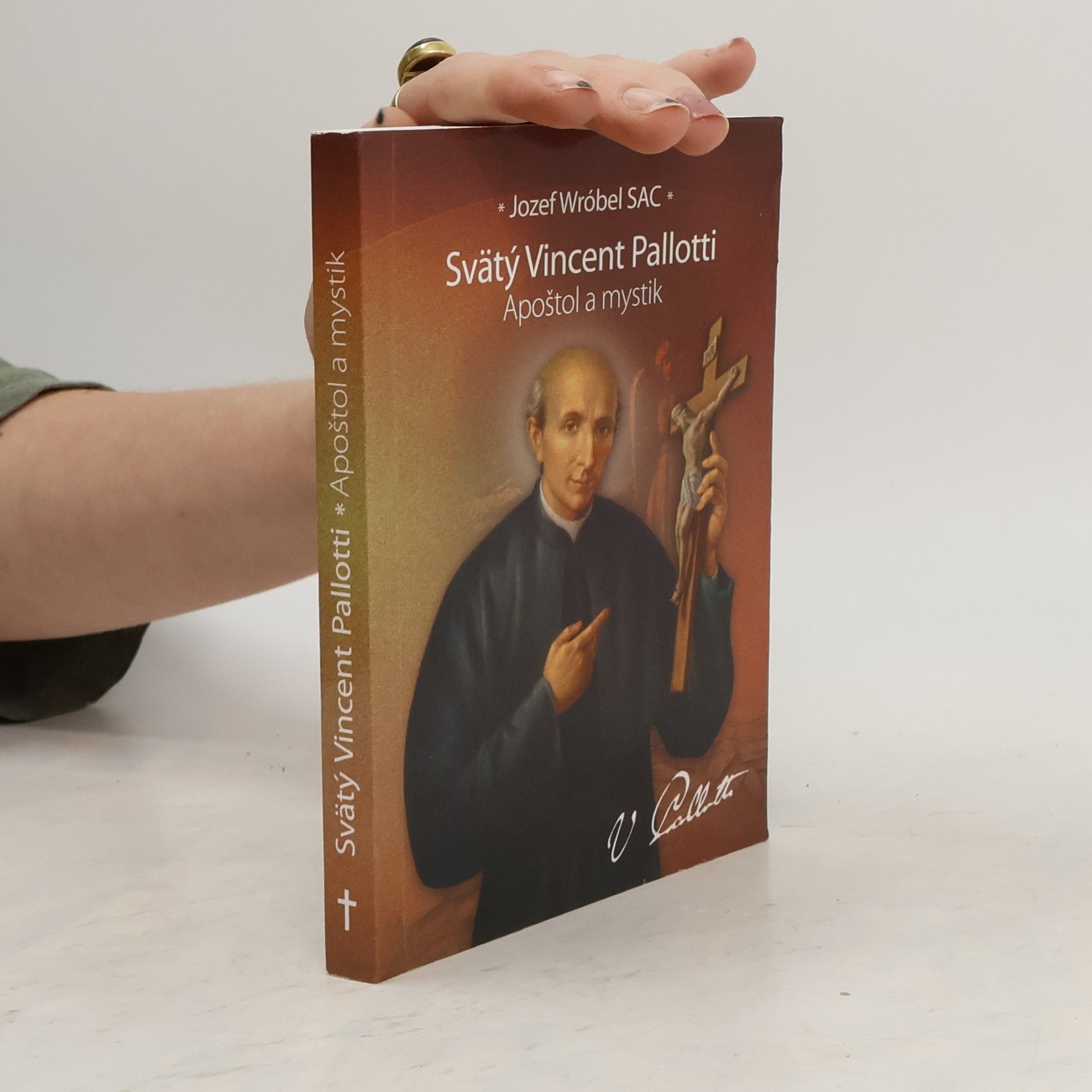 Jozef Wróbel Svätý Vincent Pallotti. Apoštol a mystik