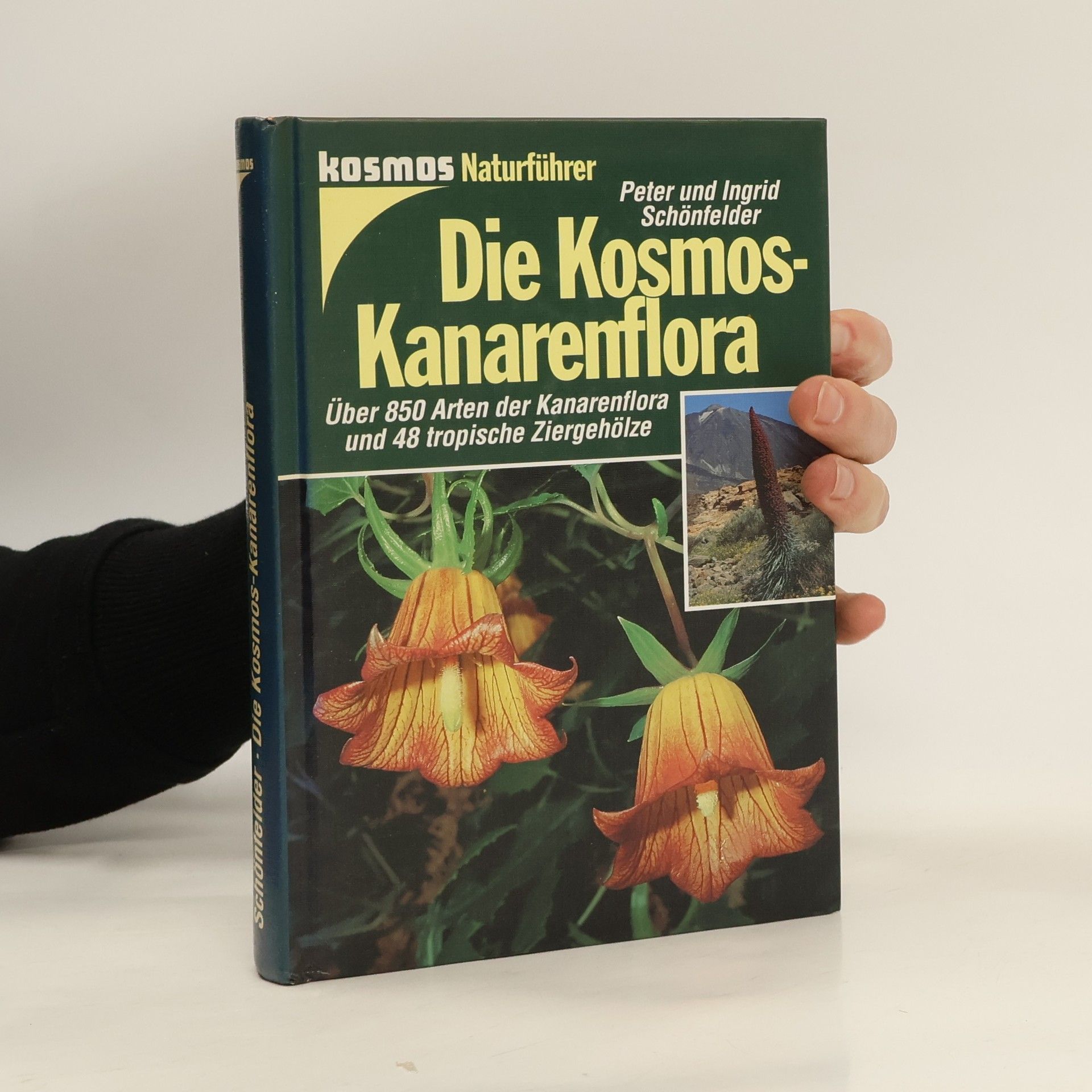 Peter Schönfelder Die Kosmos-Kanarenflora