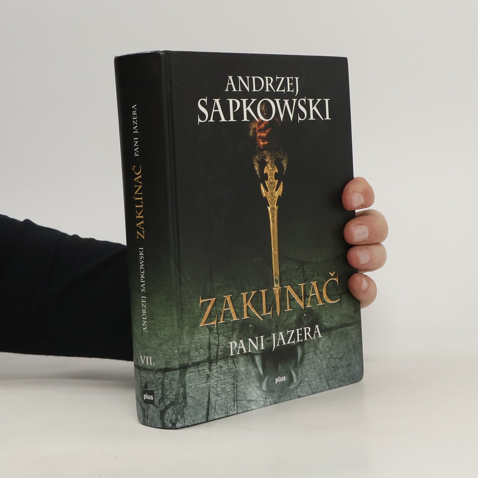 Andrzej Sapkowski Zaklínač. VII, Pani jazera. Slovensky.