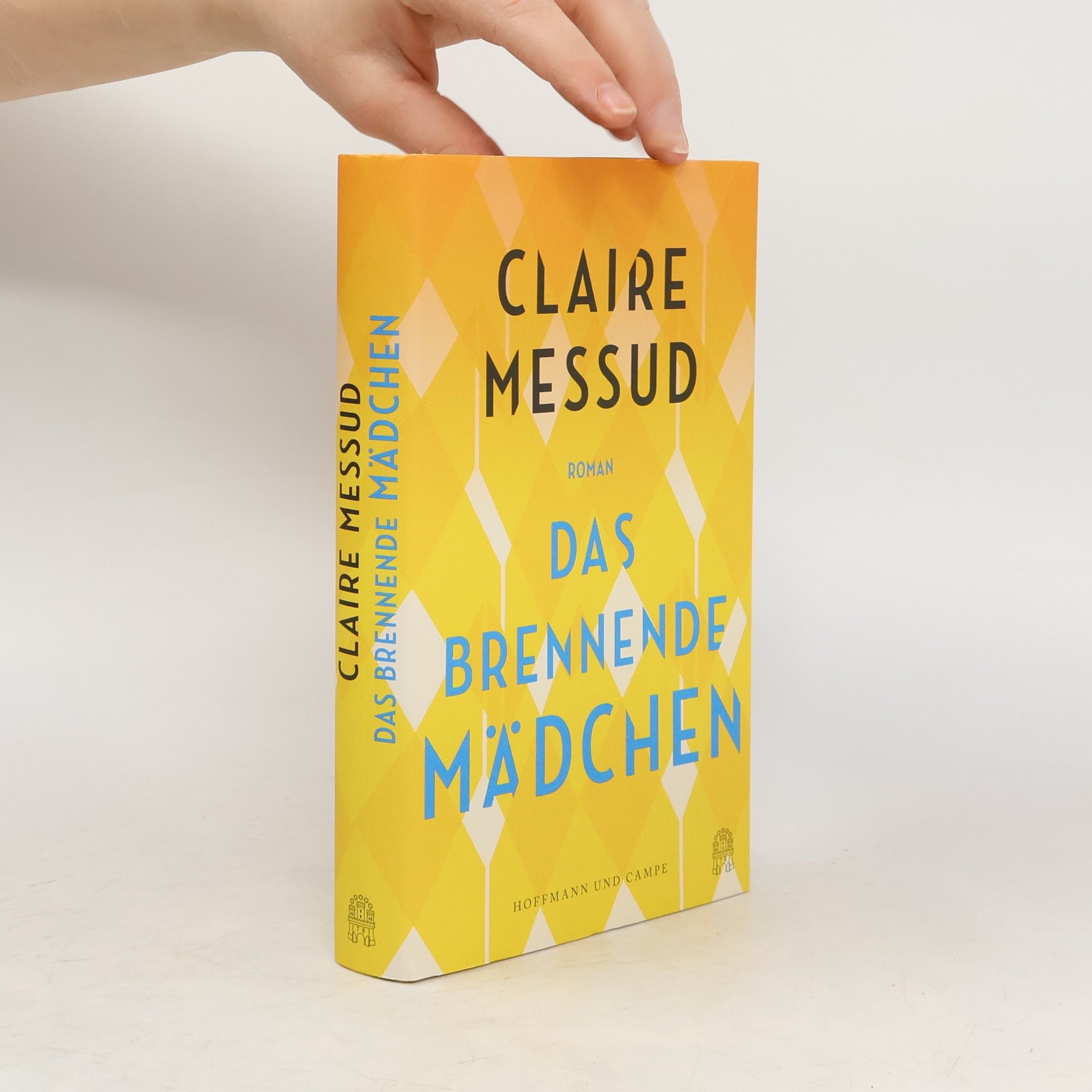 Claire Messud Das brennende Mädchen