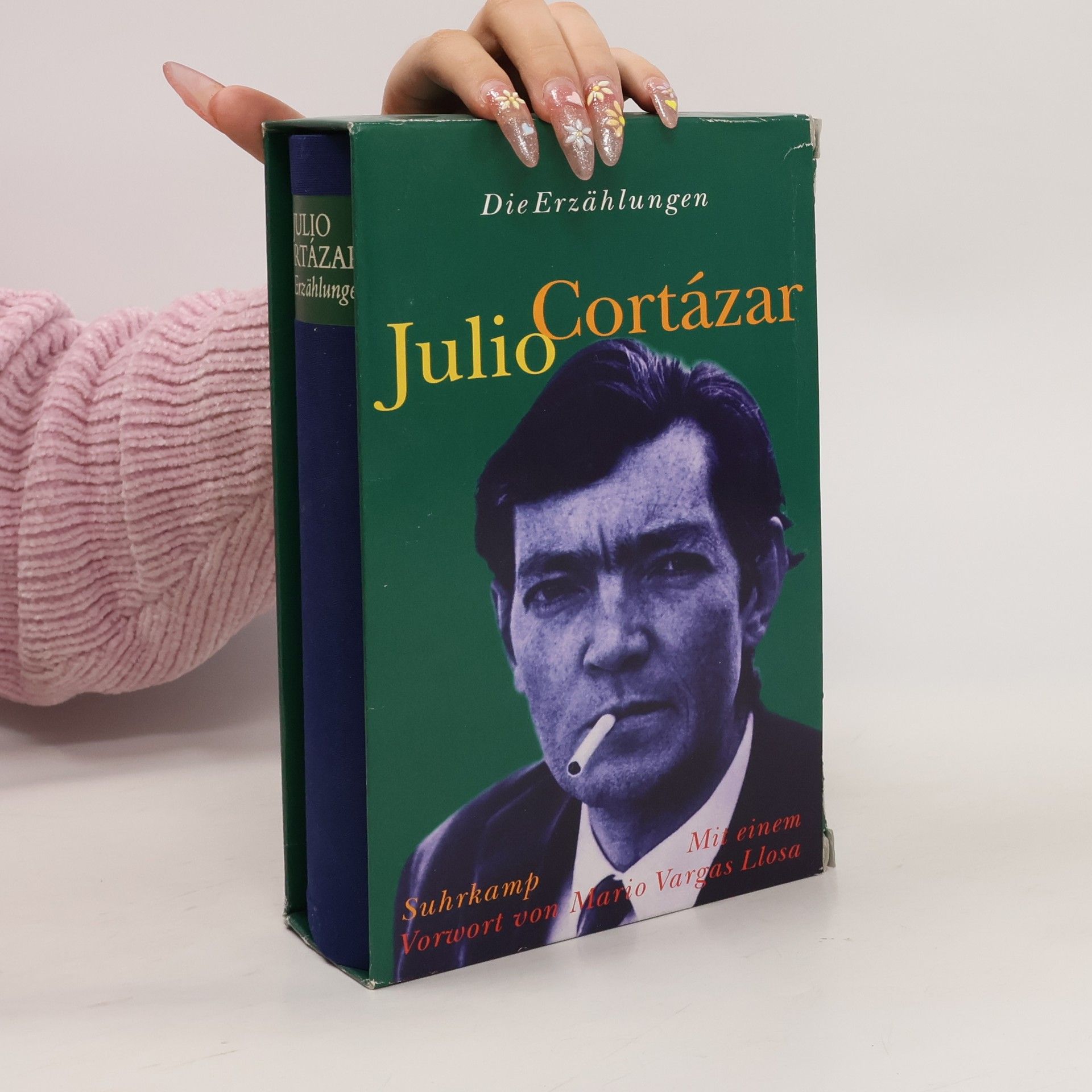 Julio Cortázar Die Erzählungen. Vorw. v. Mario Vargas Llosa