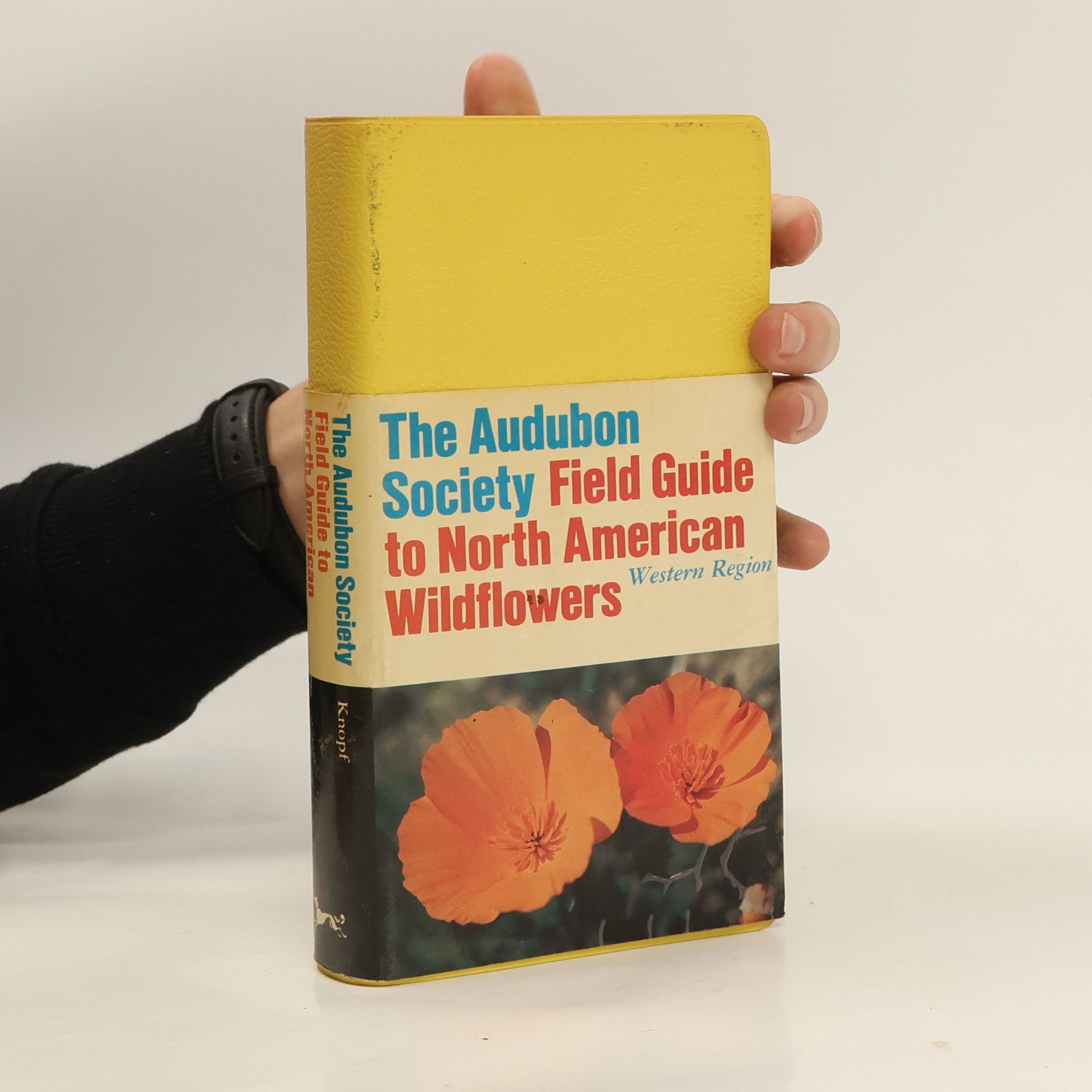 Autores varios The Audubon Society Field Guide to North American Wildflowers