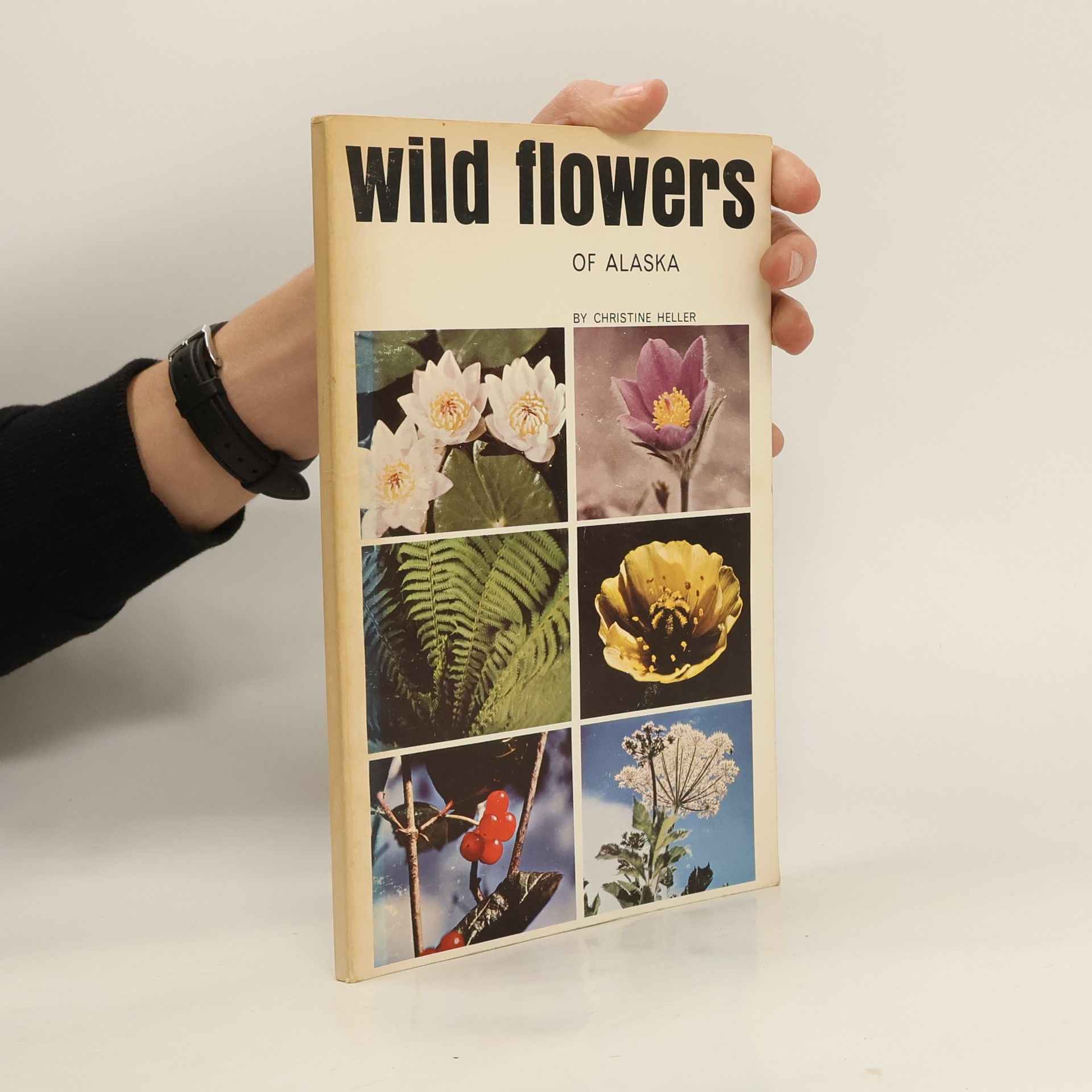 Christine Heller Wild Flowers of Alaska
