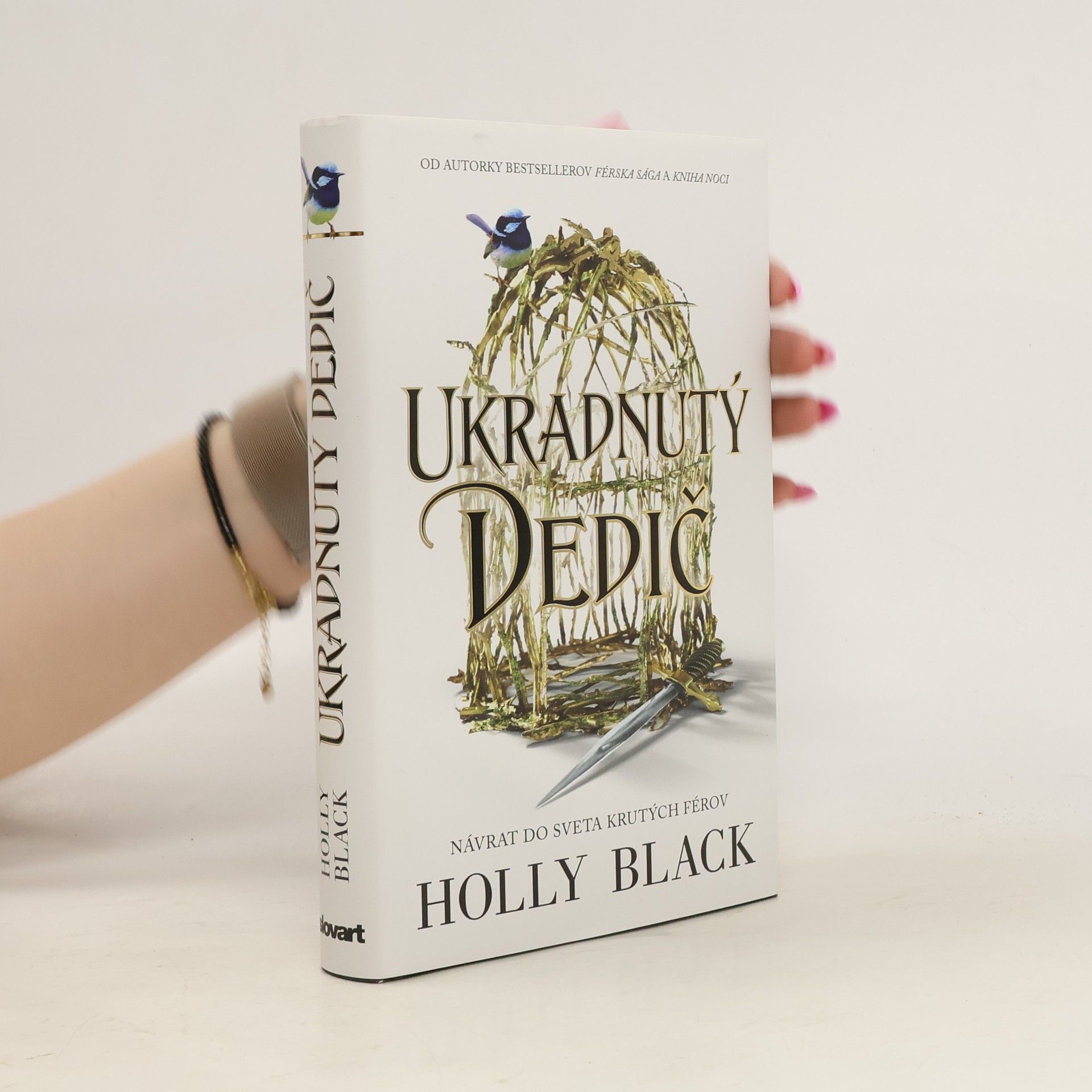 Holly Black Ukradnutý Dedič