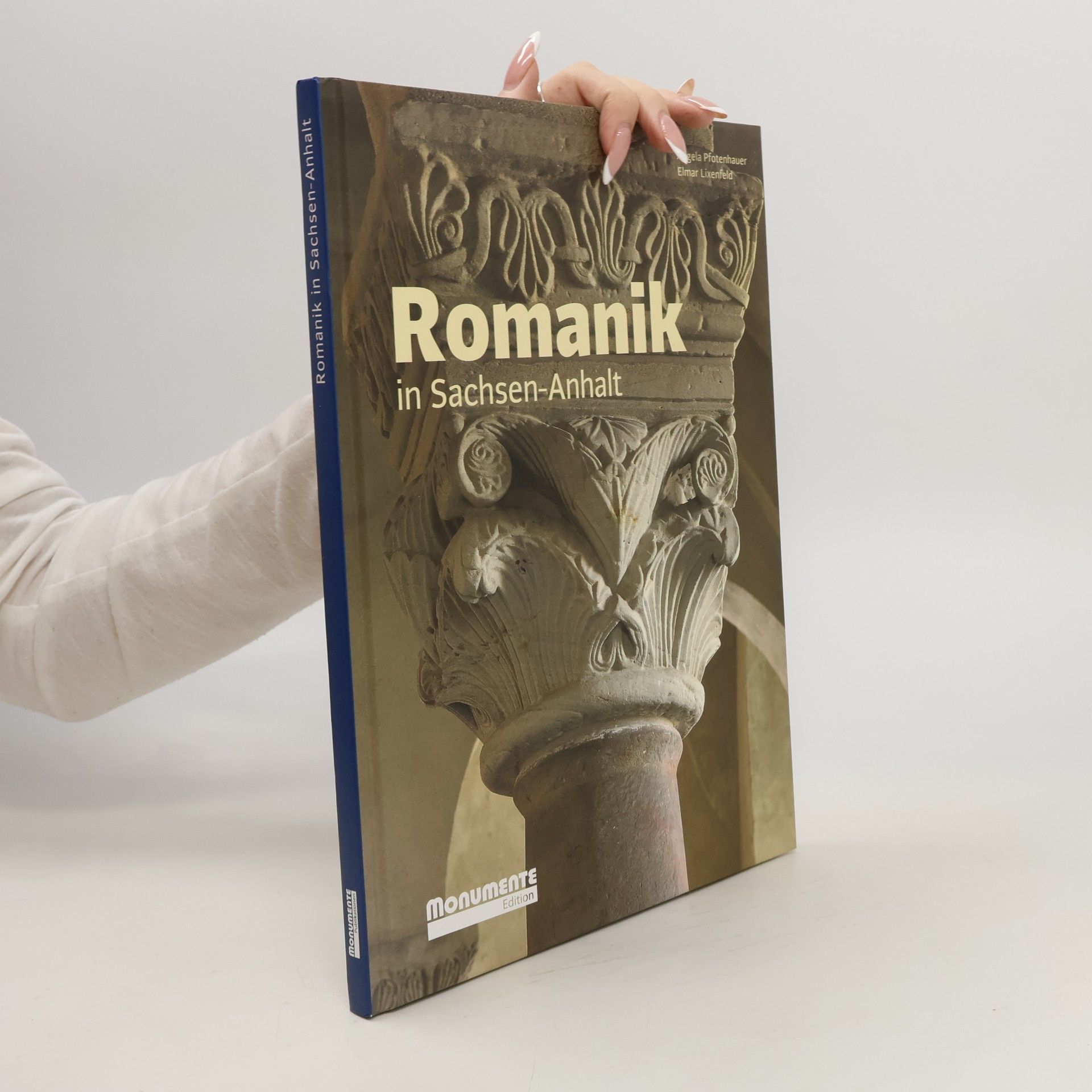 Angela Dr. Pfotenhauer Romanik in Sachsen-Anhalt