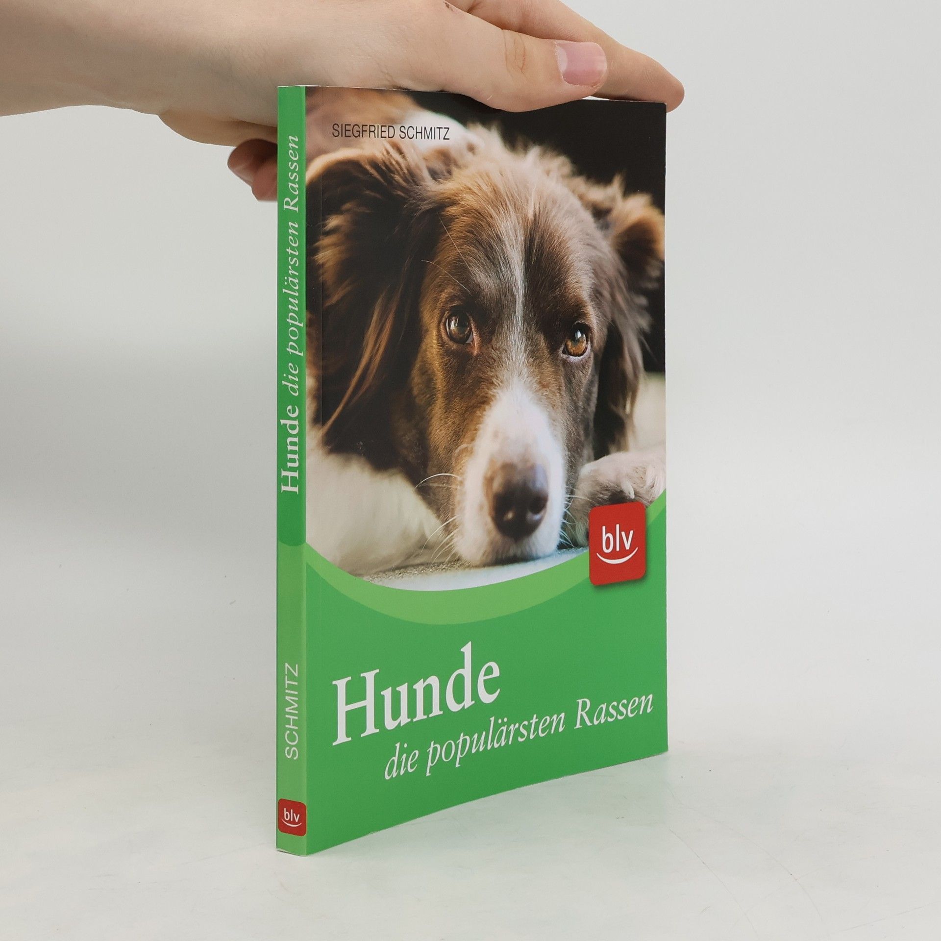 Siegfried Schmitz Hunde - die populärsten Rassen