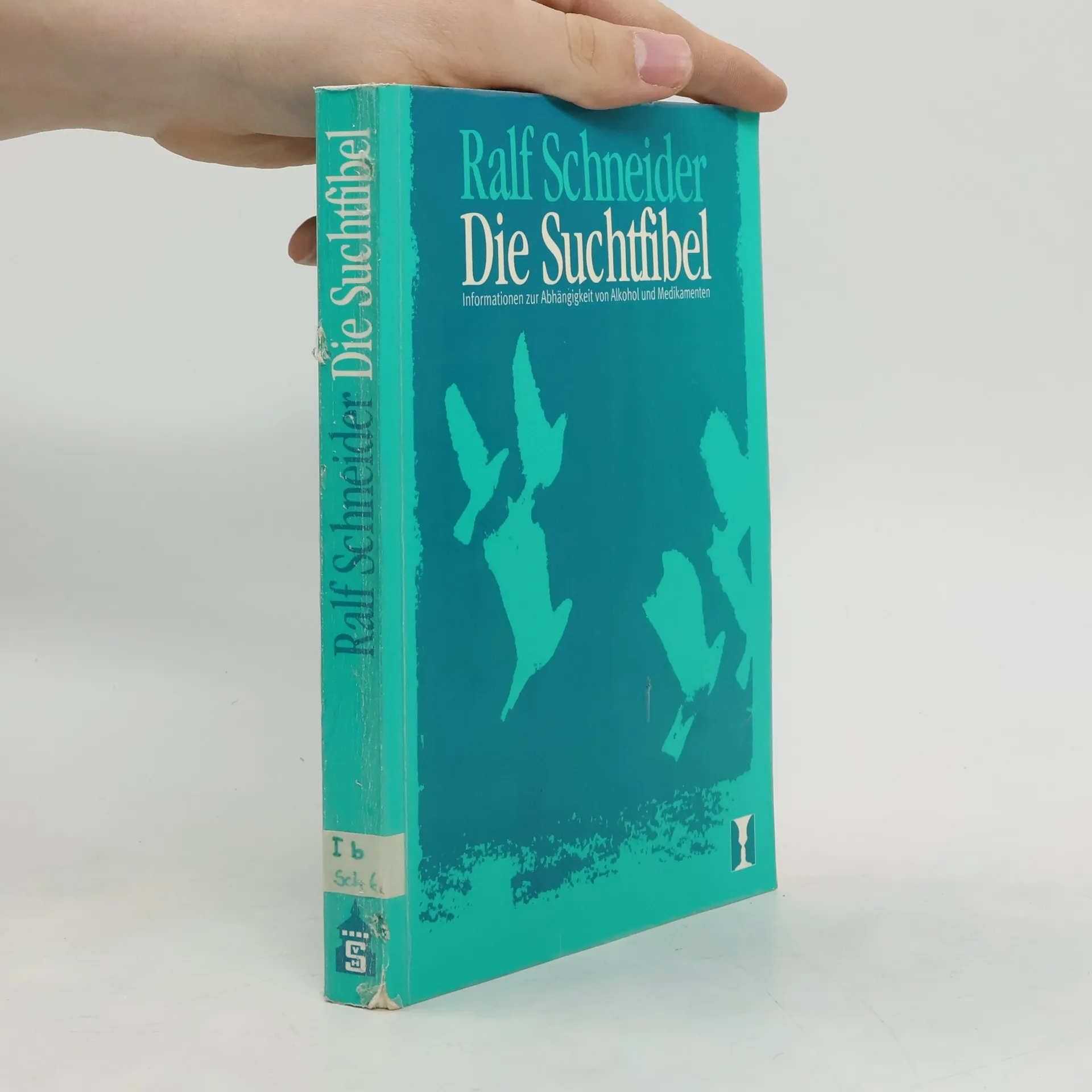 Die Suchtfibel | Buch | Ralf Schneider