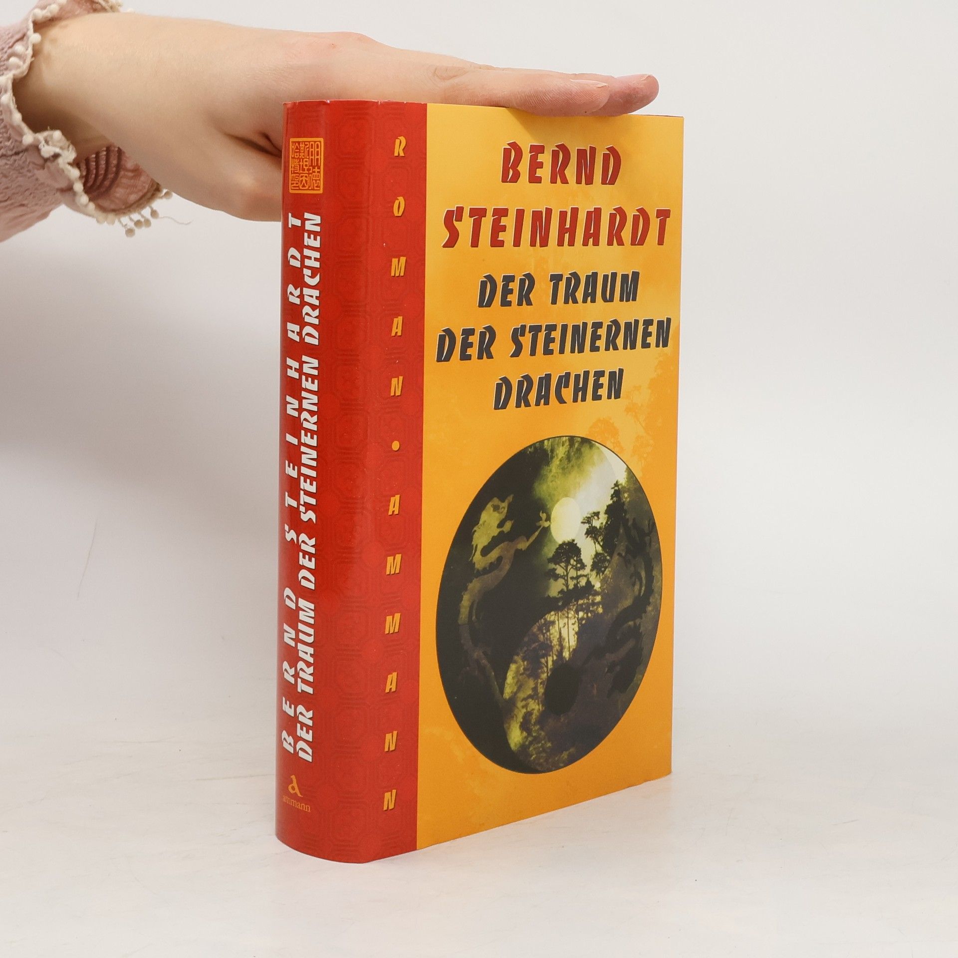 Bernd Steinhardt Der Traum der steinernen Drachen