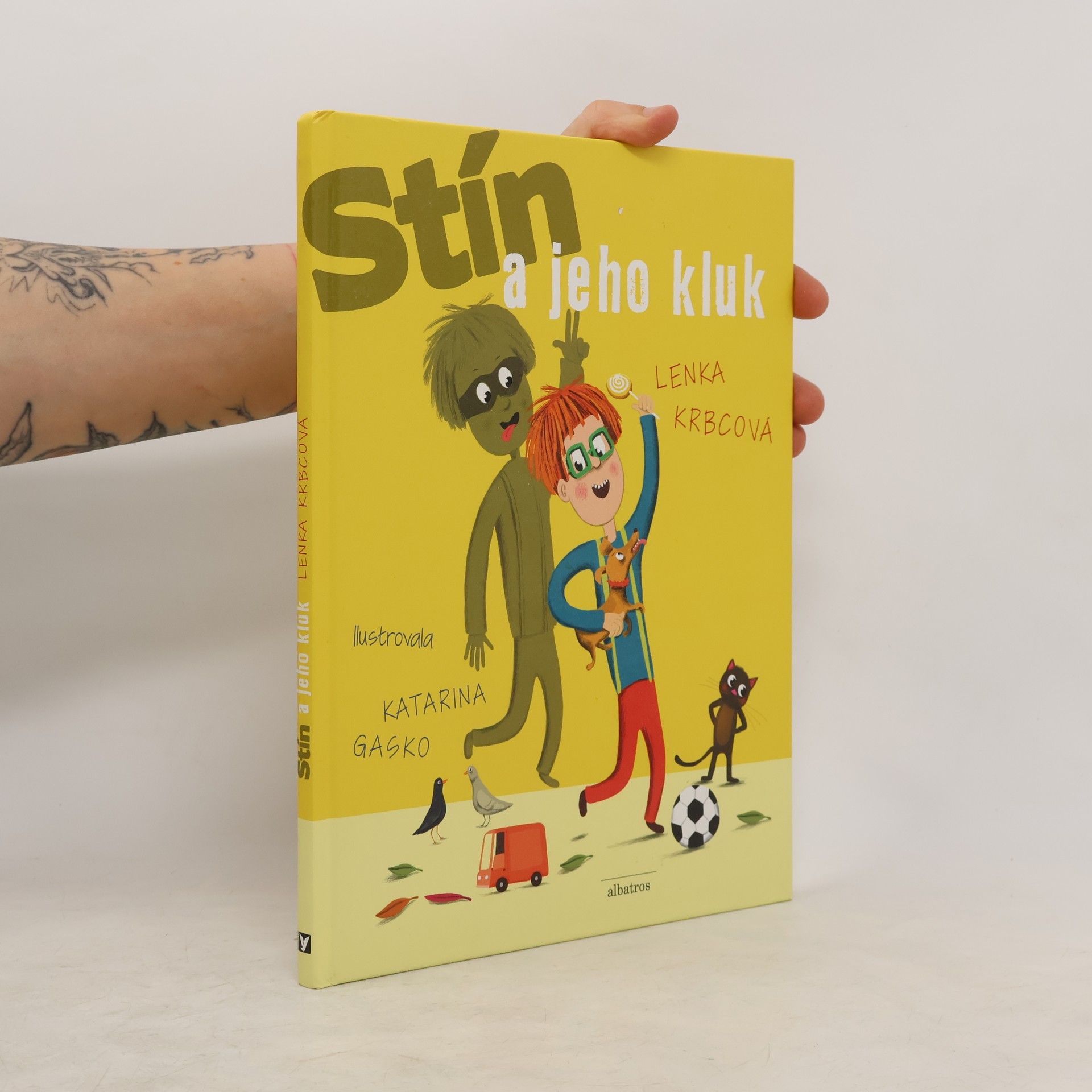 Lenka Krbcová Stín a jeho kluk