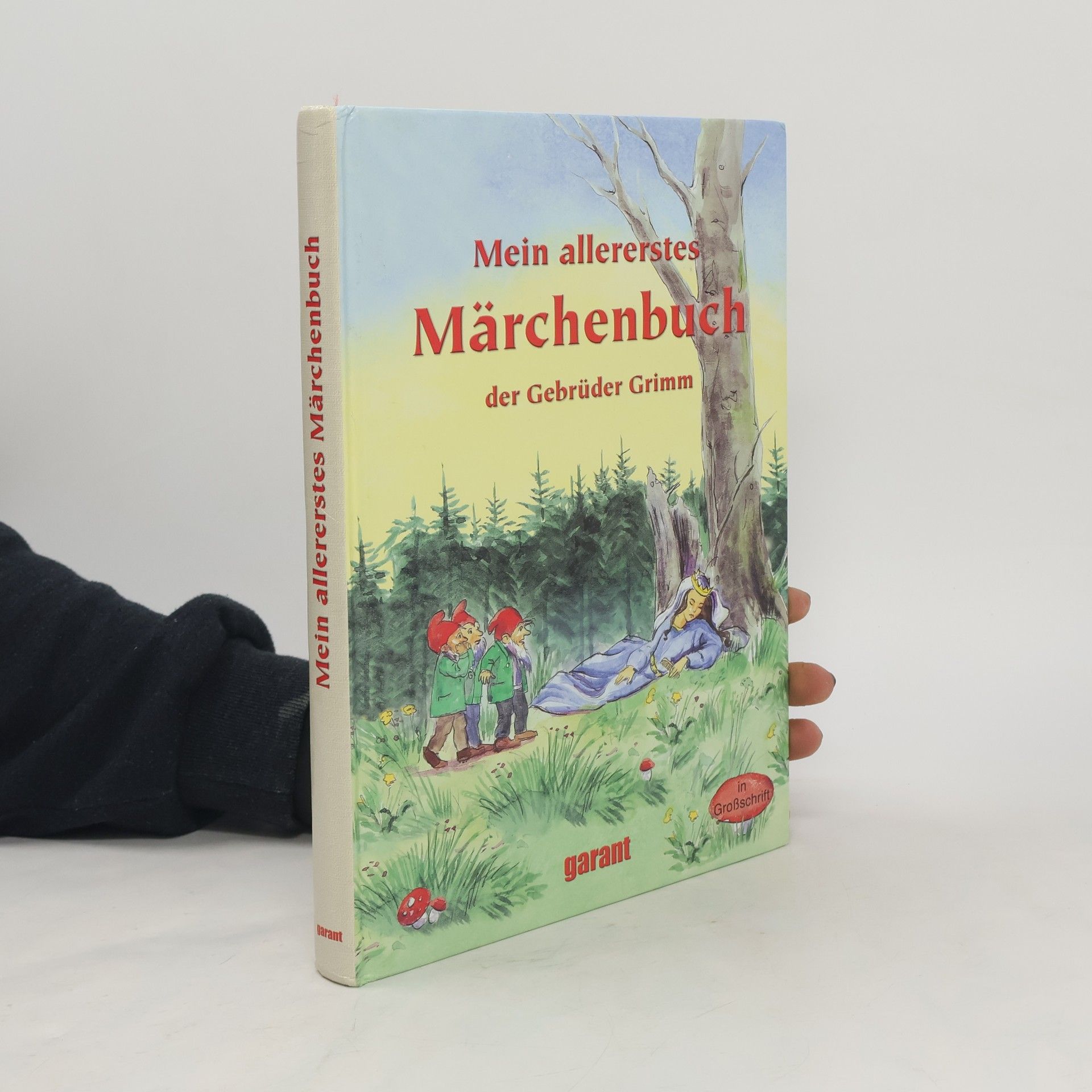 kolektiv Mein allererstes Märchenbuch der Gebrüder Grimm