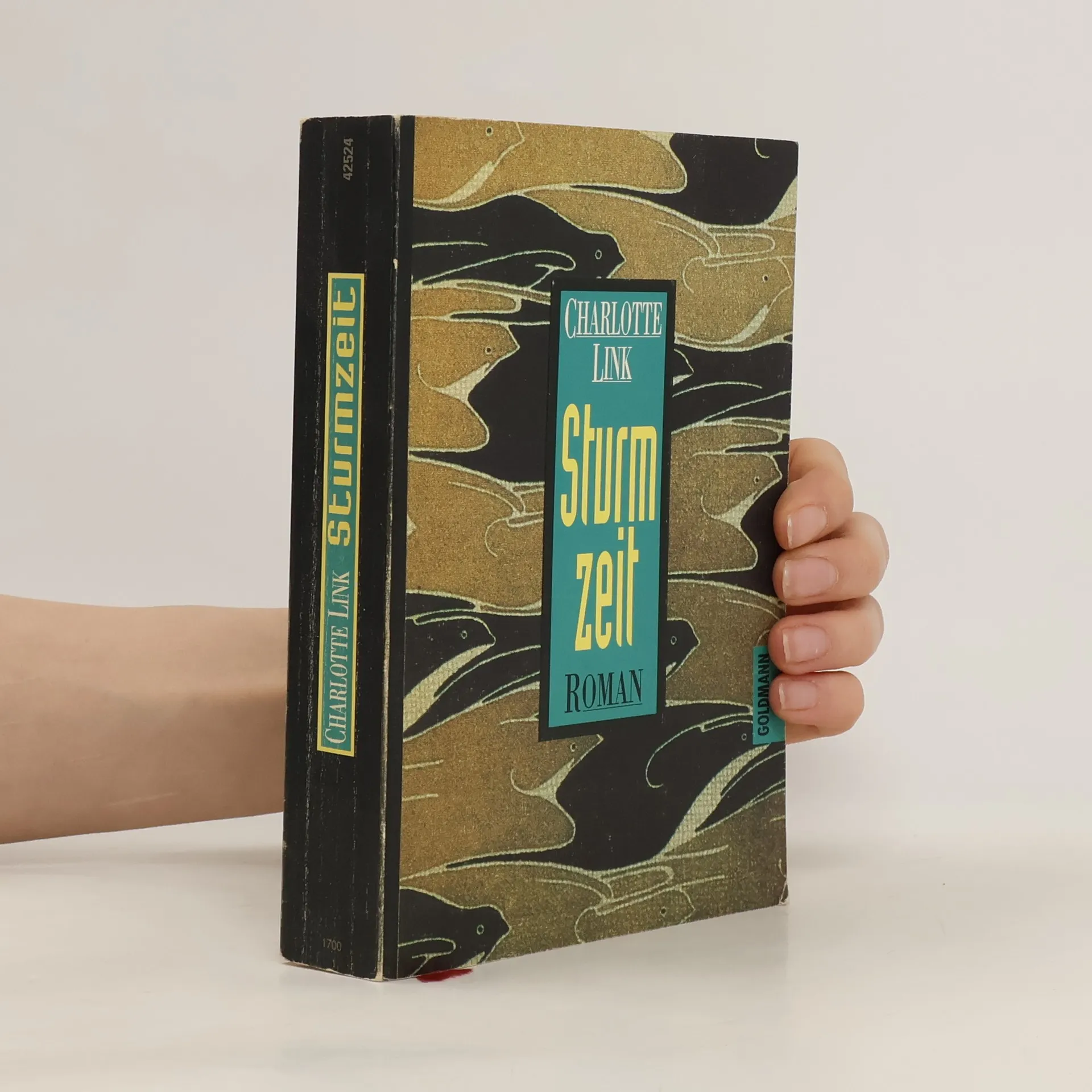 Sturmzeit | Buch | Paperback | Charlotte Link