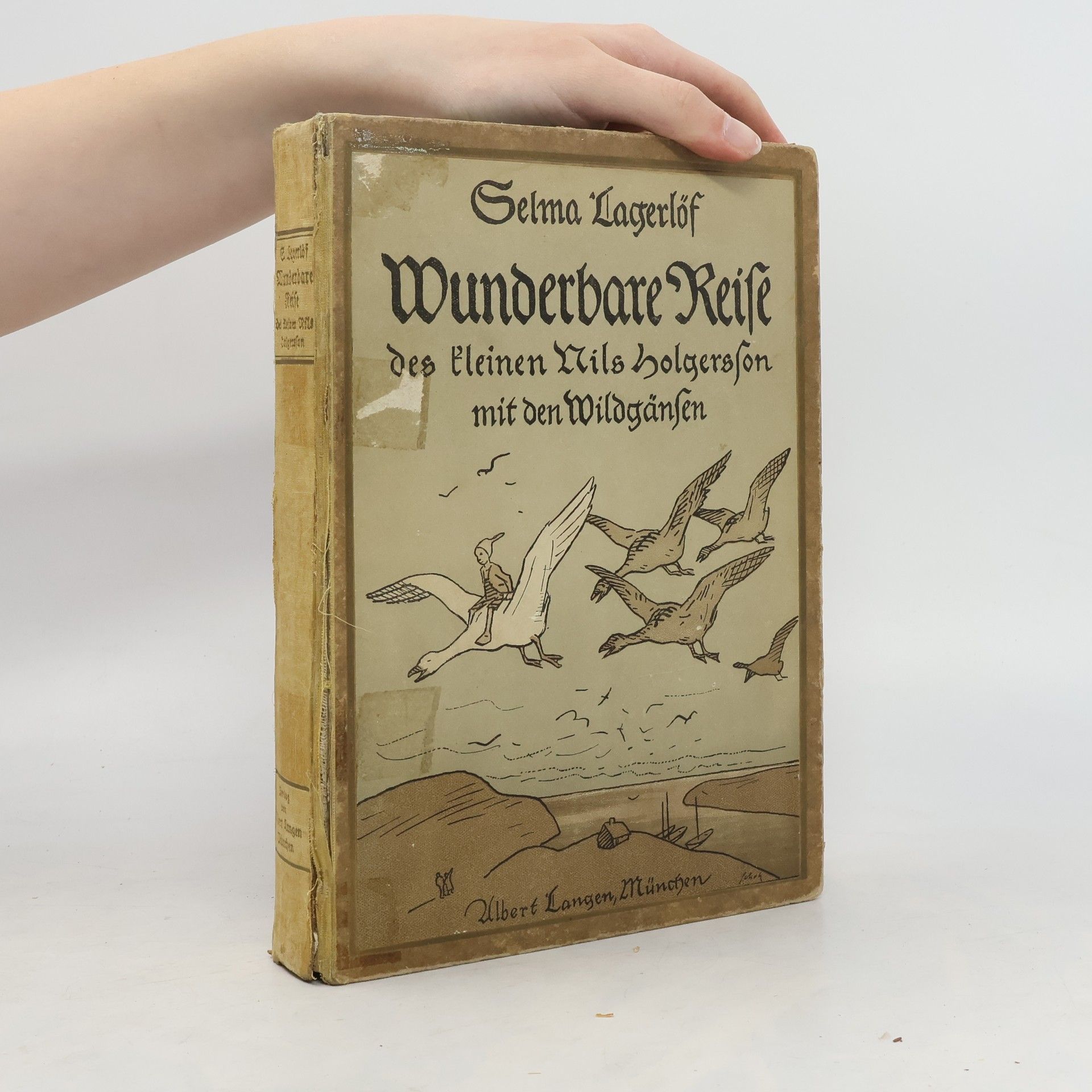 Selma Lagerlöf Wunderbare Reise. Des kleinen Nils Holgersson mit den Wildgänsen