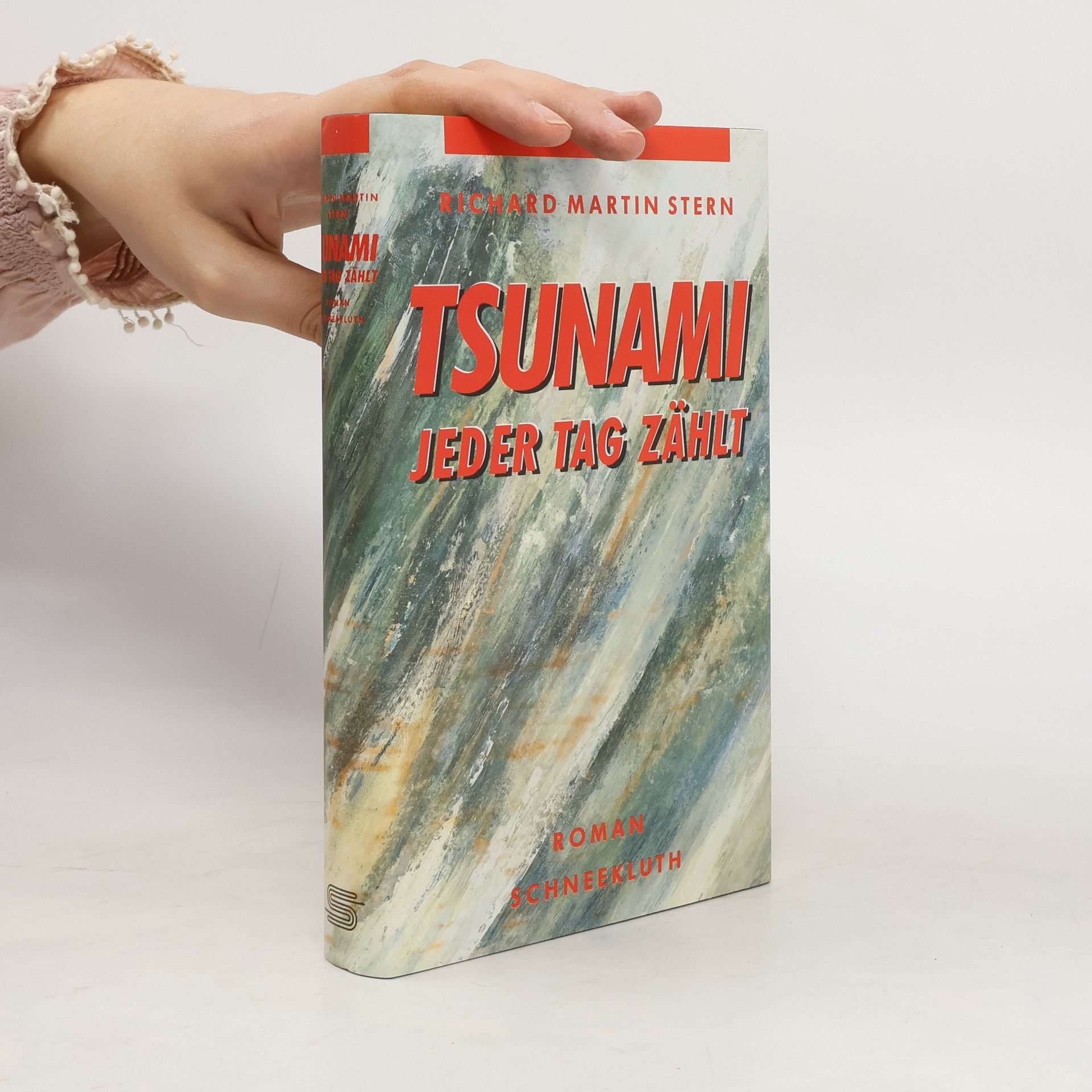Richard Martin Stern Tsunami, Jeder Tag zählt. Roman