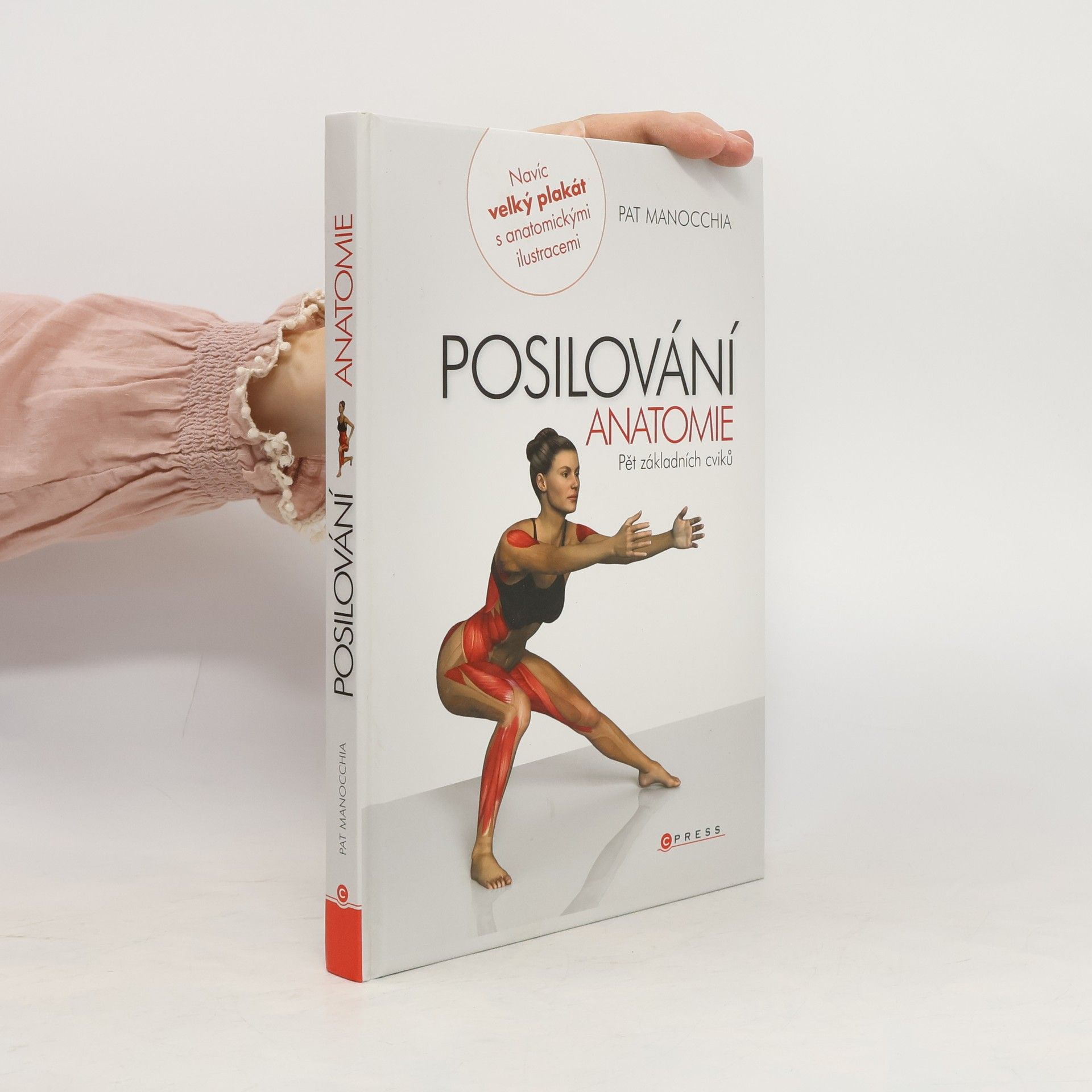 Pat Manocchia Posilování - anatomie. Pět základních cviků