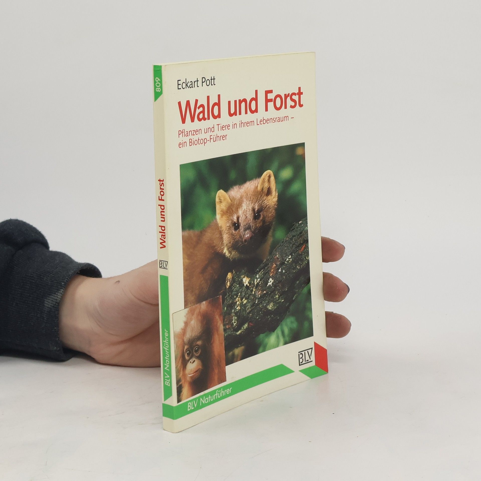 Eckart Pott Wald und Forst