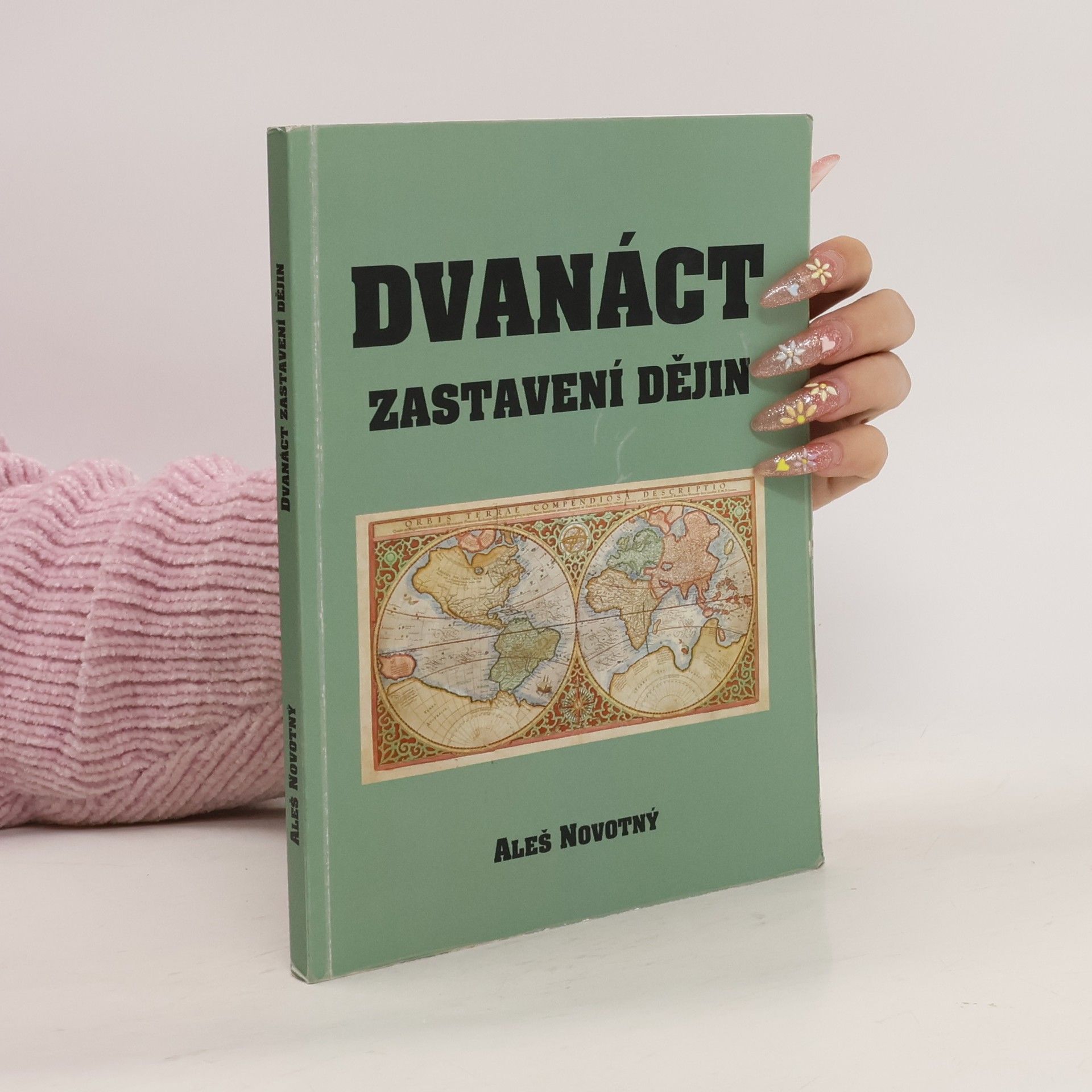 Aleš Novotný Dvanáct zastavení dějin