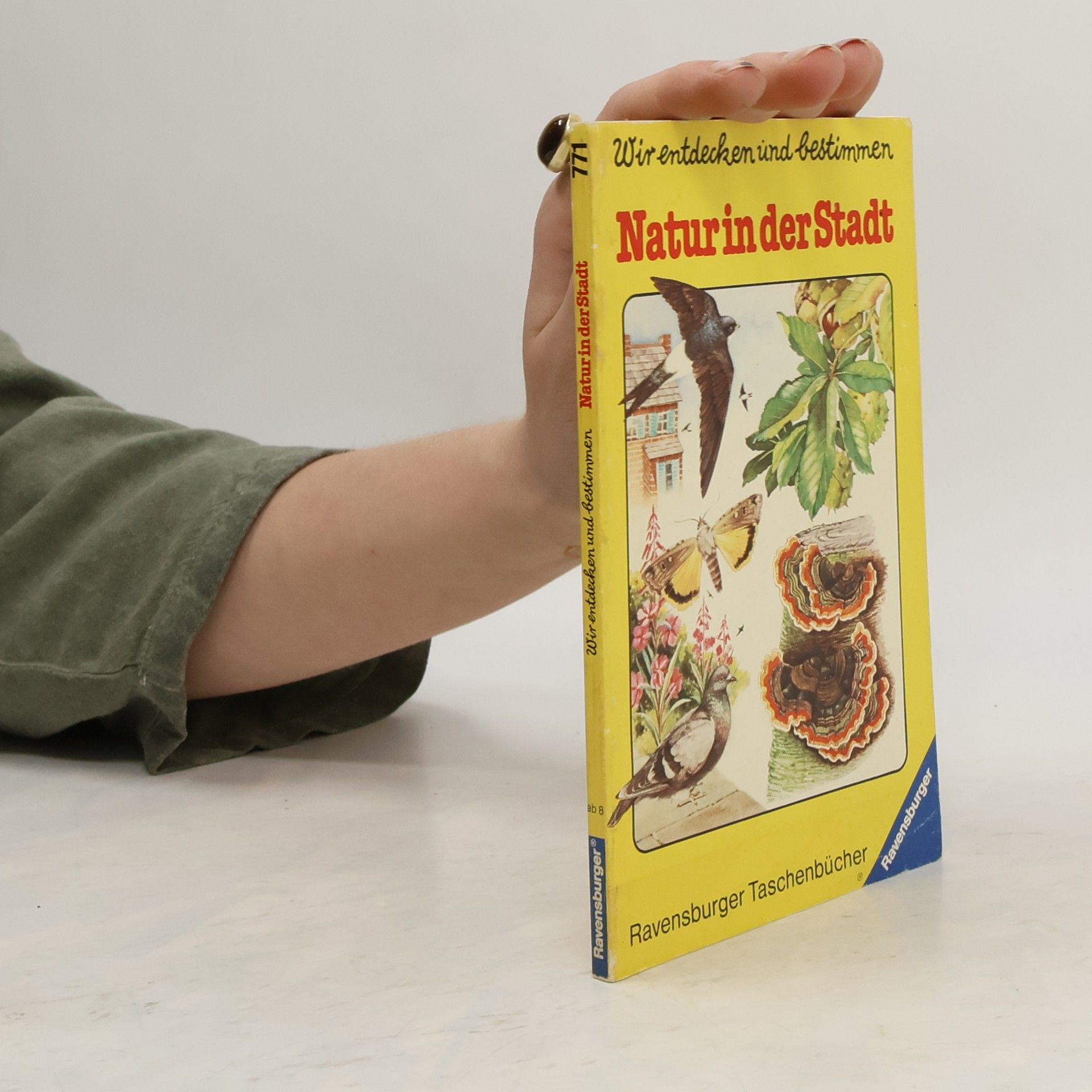 Collectif d'auteurs Wir entdecken und bestimmen. Natur in der Stadt
