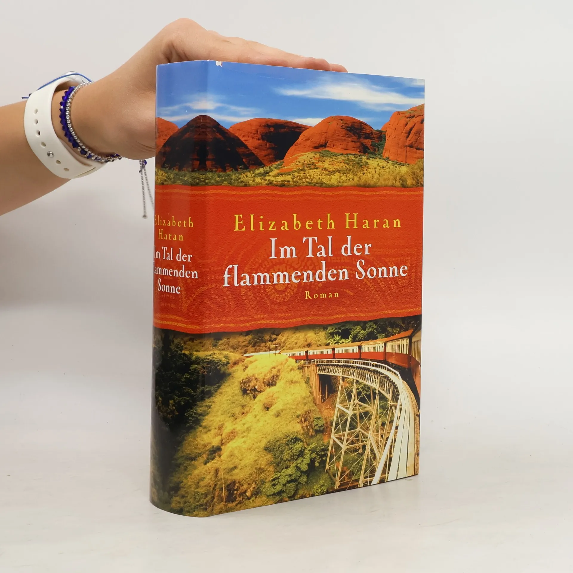 Im Tal der flammenden Sonne | Buch | Hardcover | Elizabeth Haran