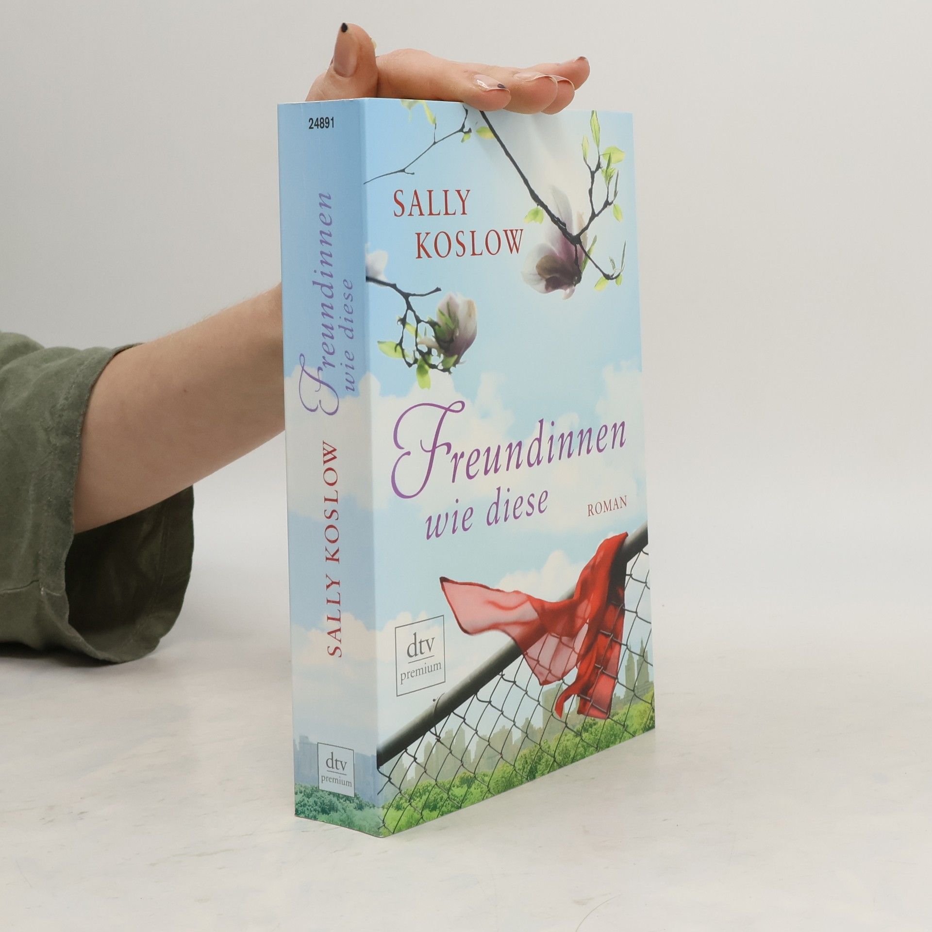 Sally Koslow Freundinnen wie diese