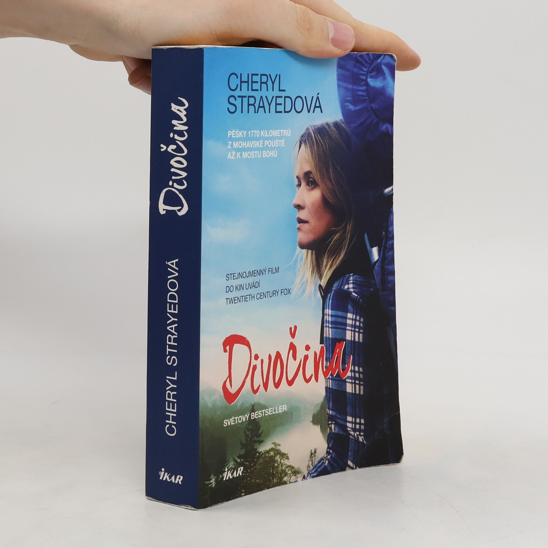 Cheryl Strayed Divočina. Pěšky 1770 kilometrů z Mohavské pouště až k mostu bohů