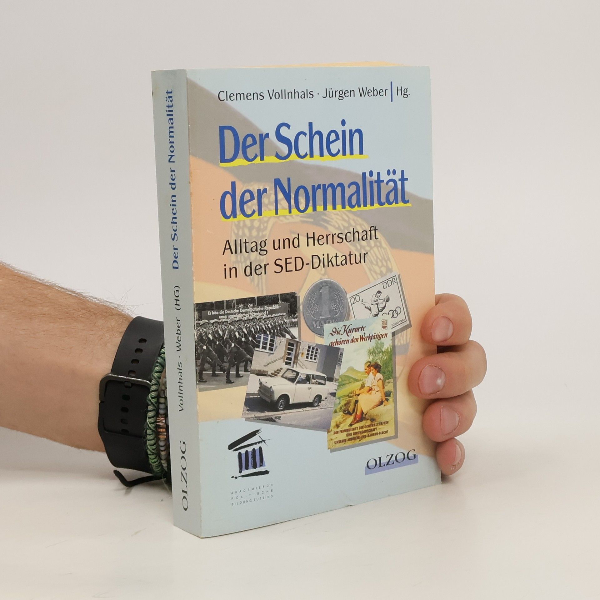 Clemens Vollnhals Der Schein der Normalität