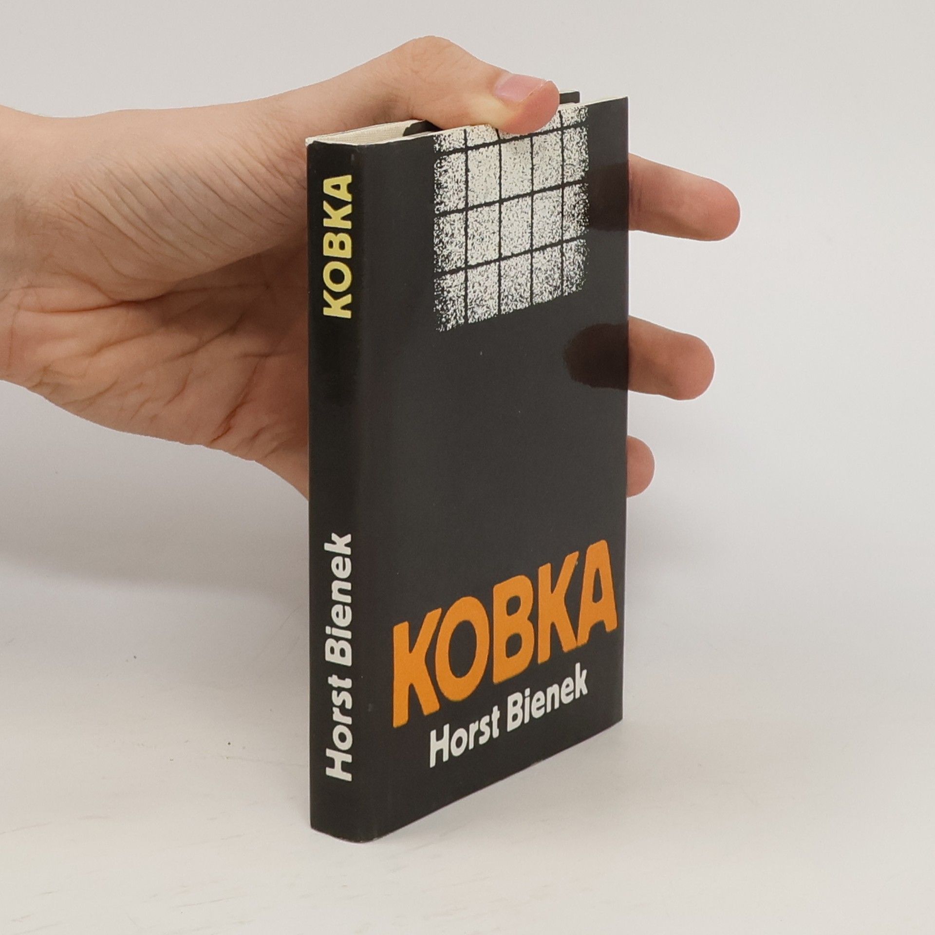 Horst Bienek Kobka