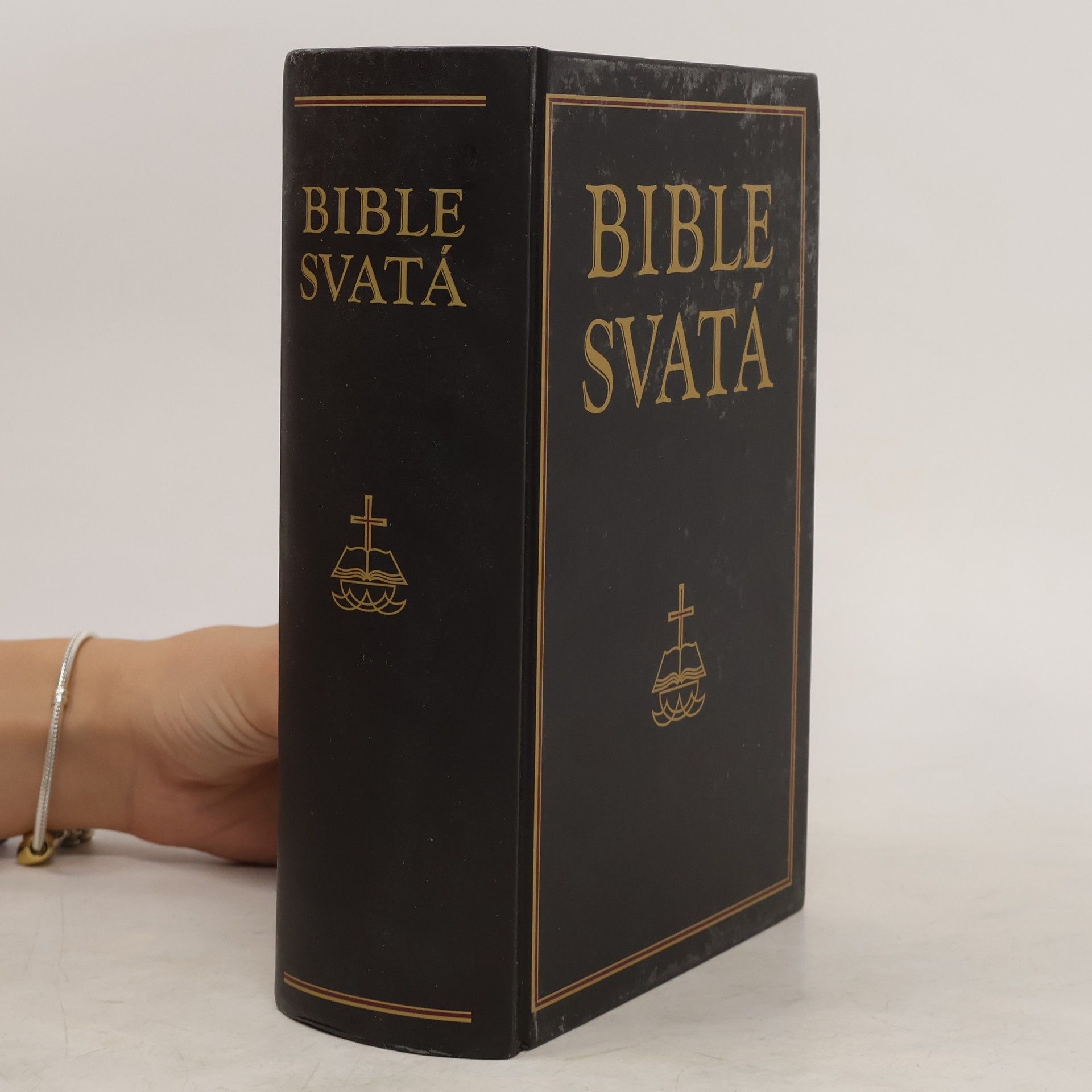 kolektiv Bible svatá aneb všecka svatá písma Starého i Nového zákona